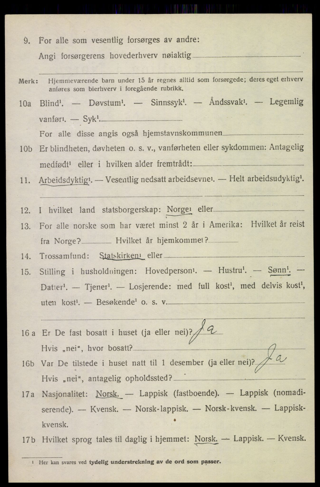 SAT, 1920 census for Saltdal, 1920, p. 4366