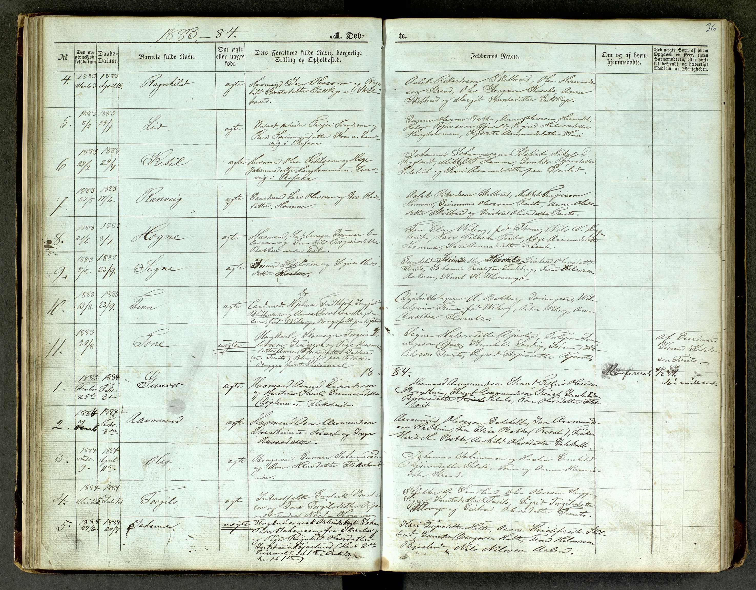 Lårdal kirkebøker, AV/SAKO-A-284/G/Ga/L0002: Parish register (copy) no. I 2, 1861-1890, p. 36