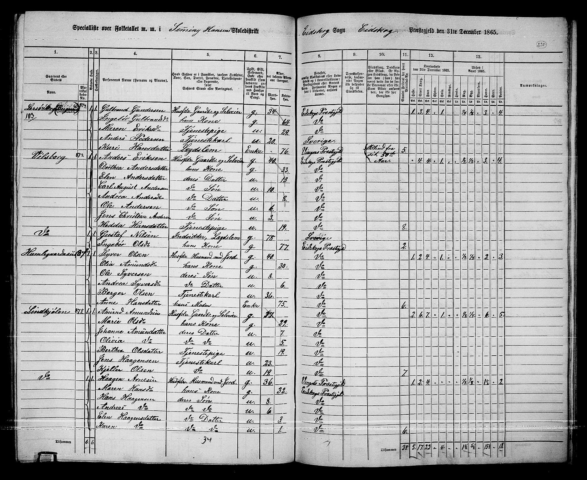 RA, 1865 census for Eidskog, 1865, p. 211