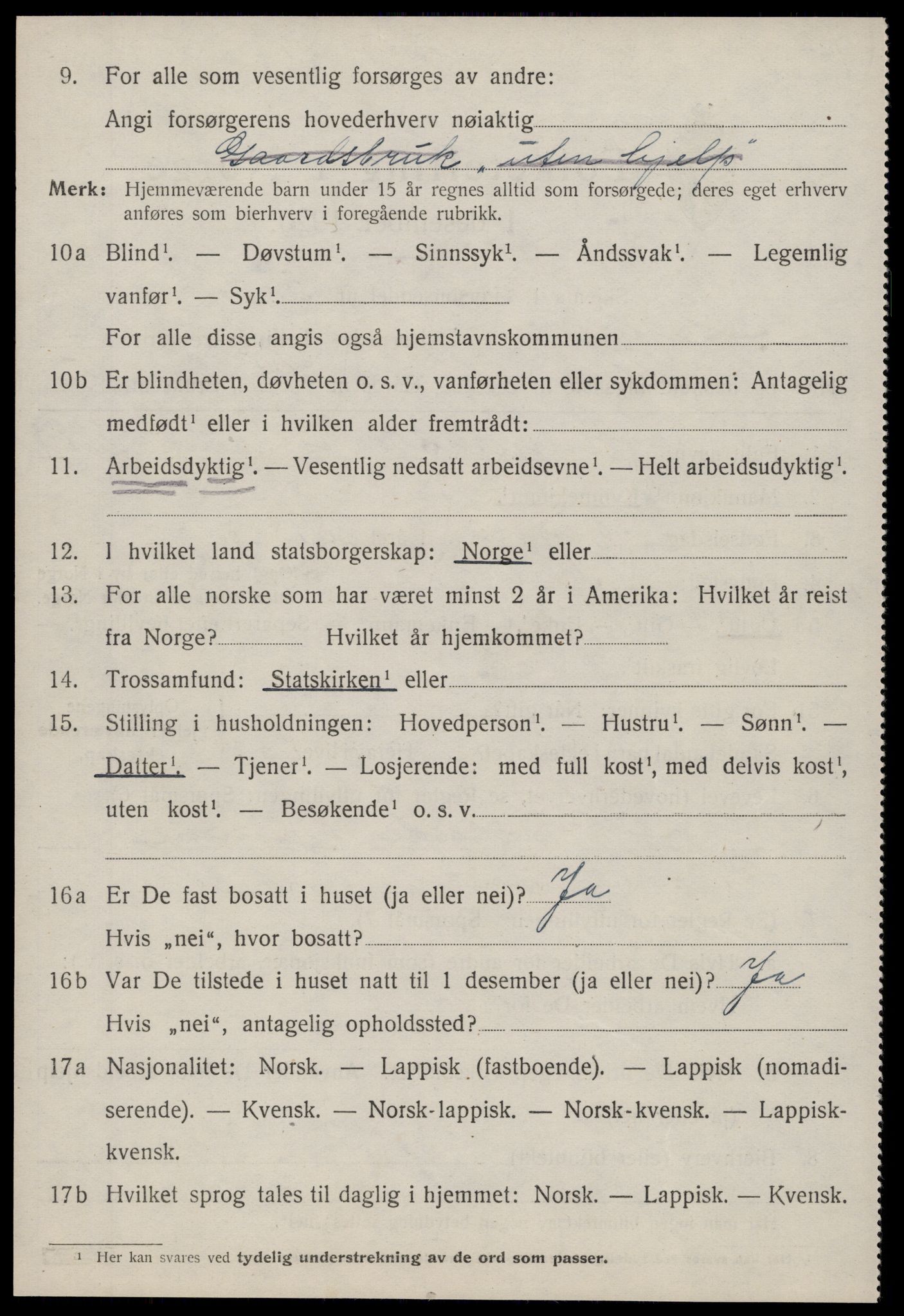 SAT, 1920 census for Hemne, 1920, p. 1811