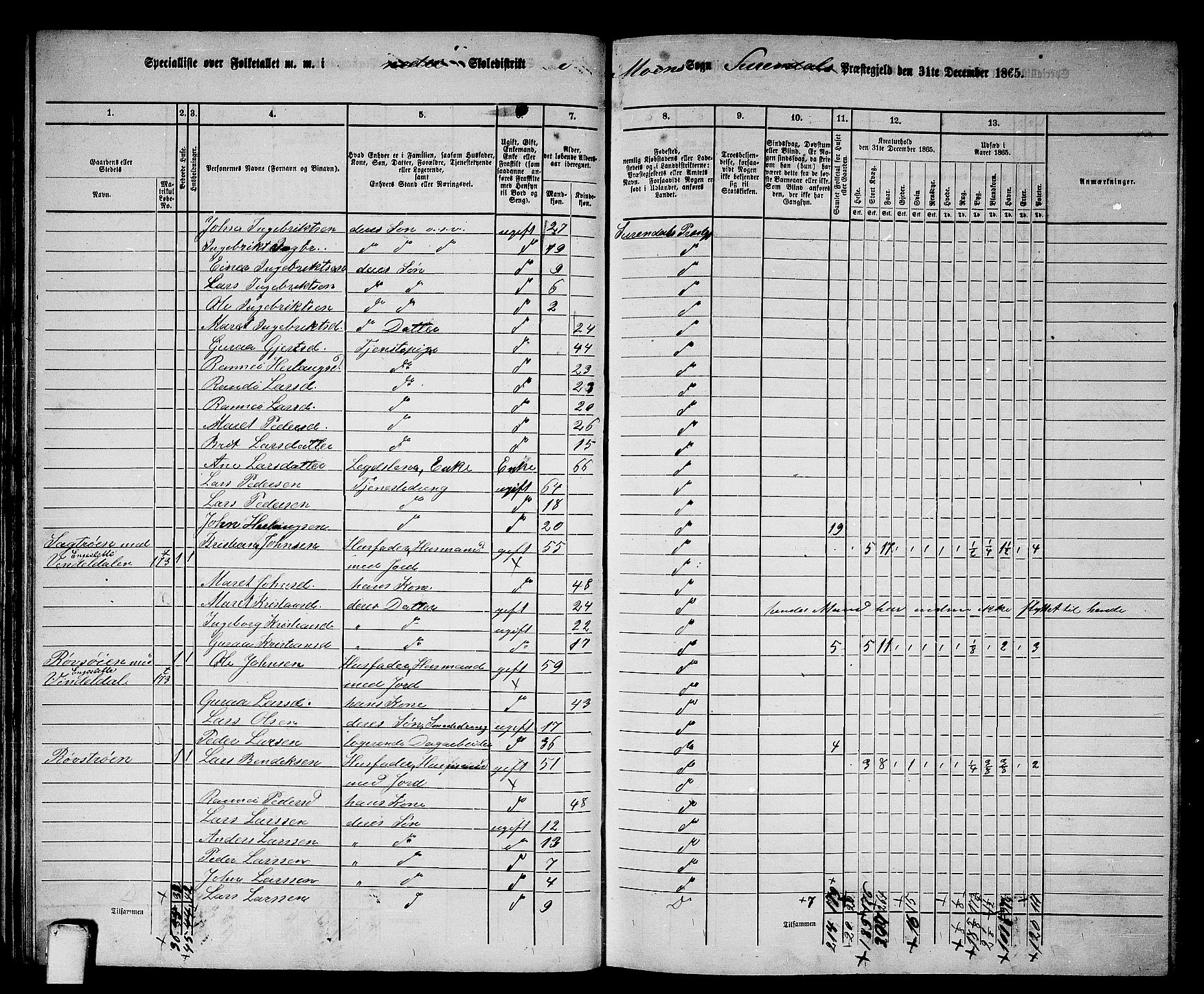 RA, 1865 census for Surnadal, 1865, p. 40