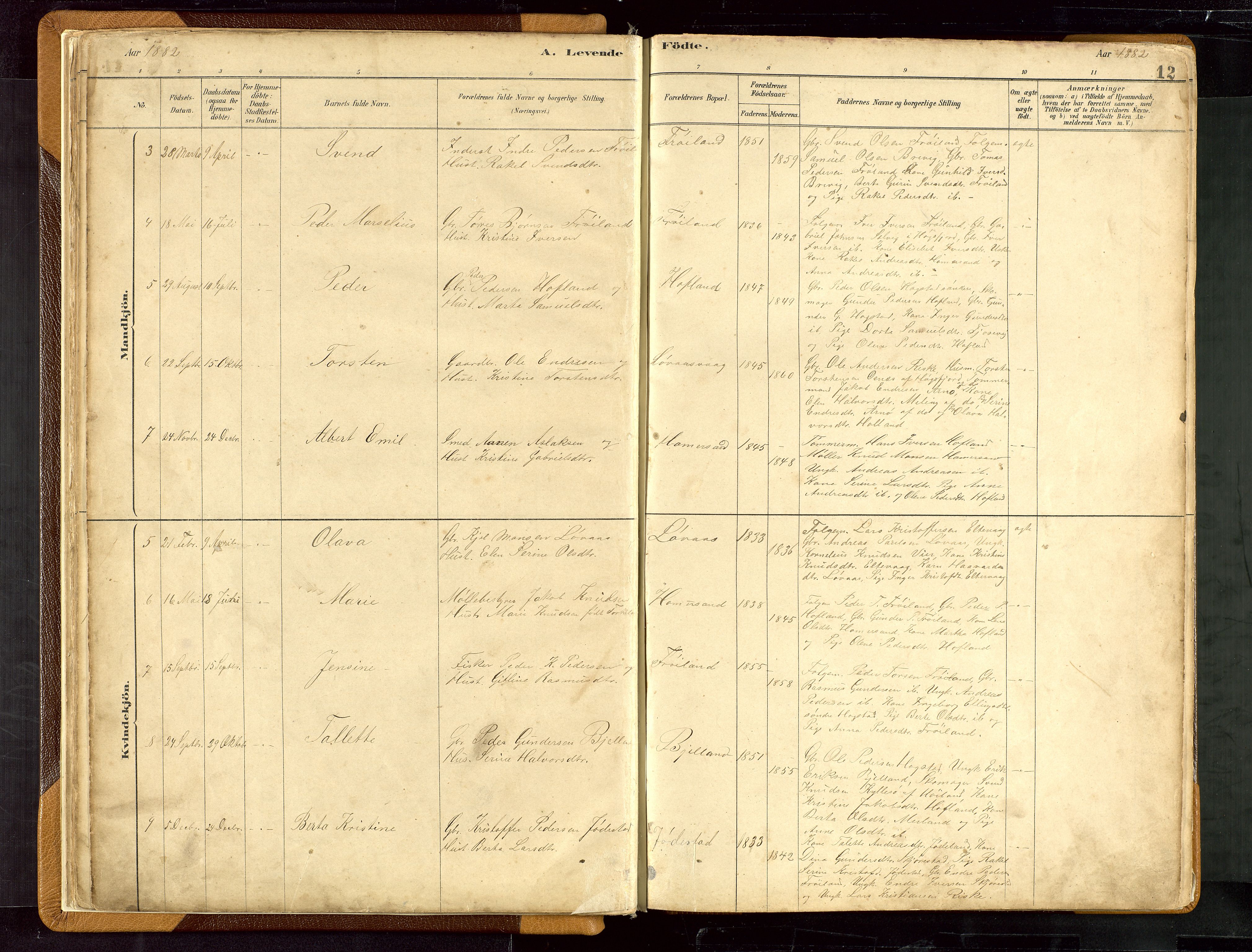 Hetland sokneprestkontor, AV/SAST-A-101826/30/30BB/L0007: Parish register (copy) no. B 7, 1878-1910, p. 12