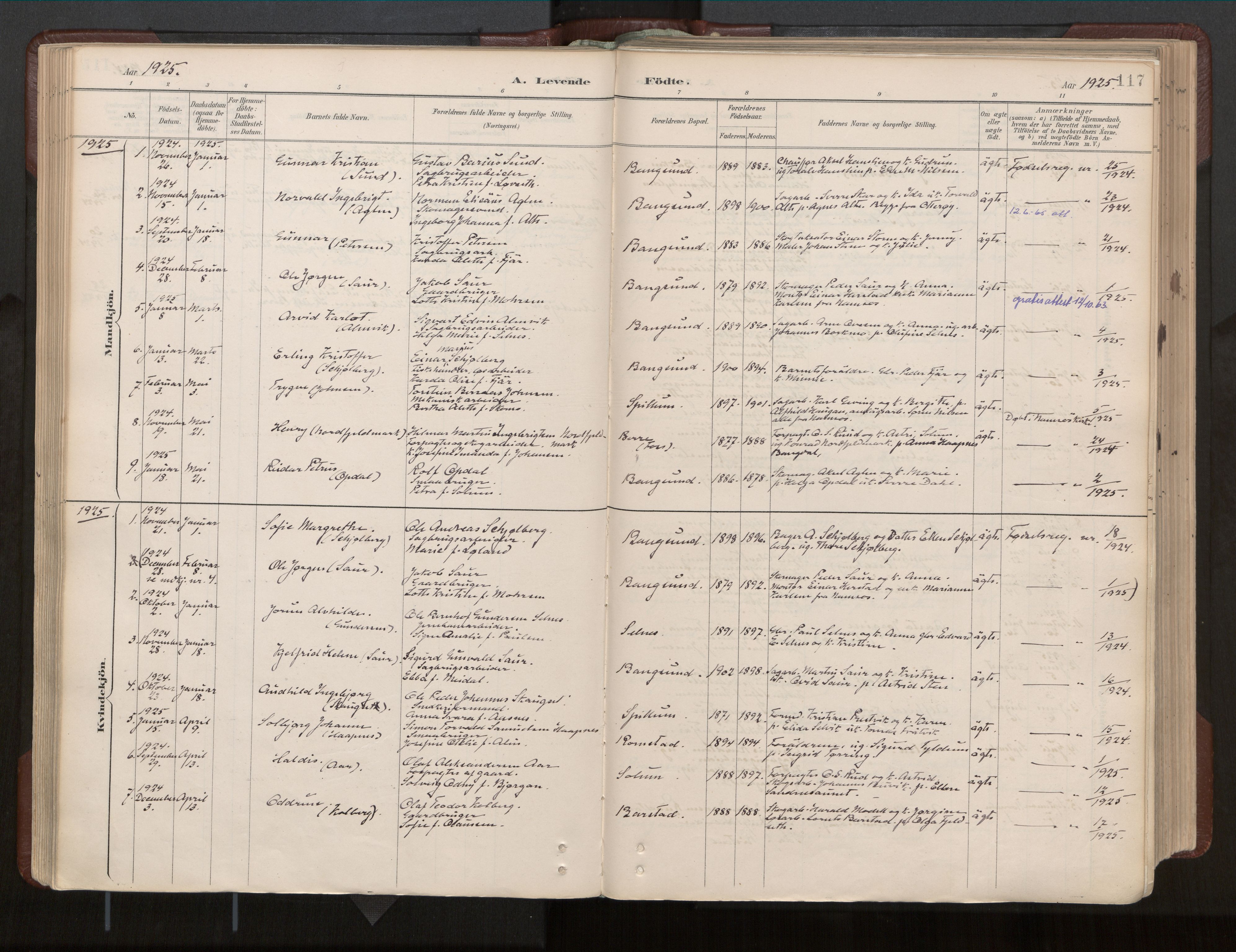 Ministerialprotokoller, klokkerbøker og fødselsregistre - Nord-Trøndelag, SAT/A-1458/770/L0589: Parish register (official) no. 770A03, 1887-1929, p. 117