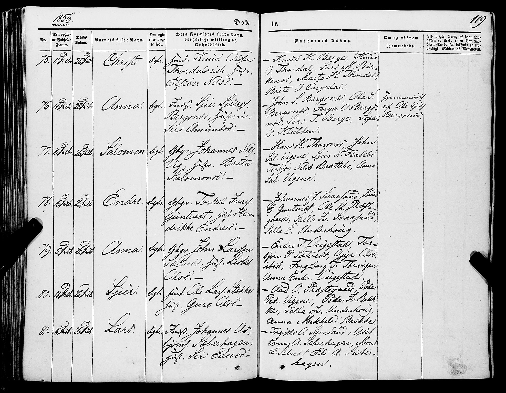 Strandebarm sokneprestembete, AV/SAB-A-78401/H/Haa: Parish register (official) no. A 7, 1844-1872, p. 119