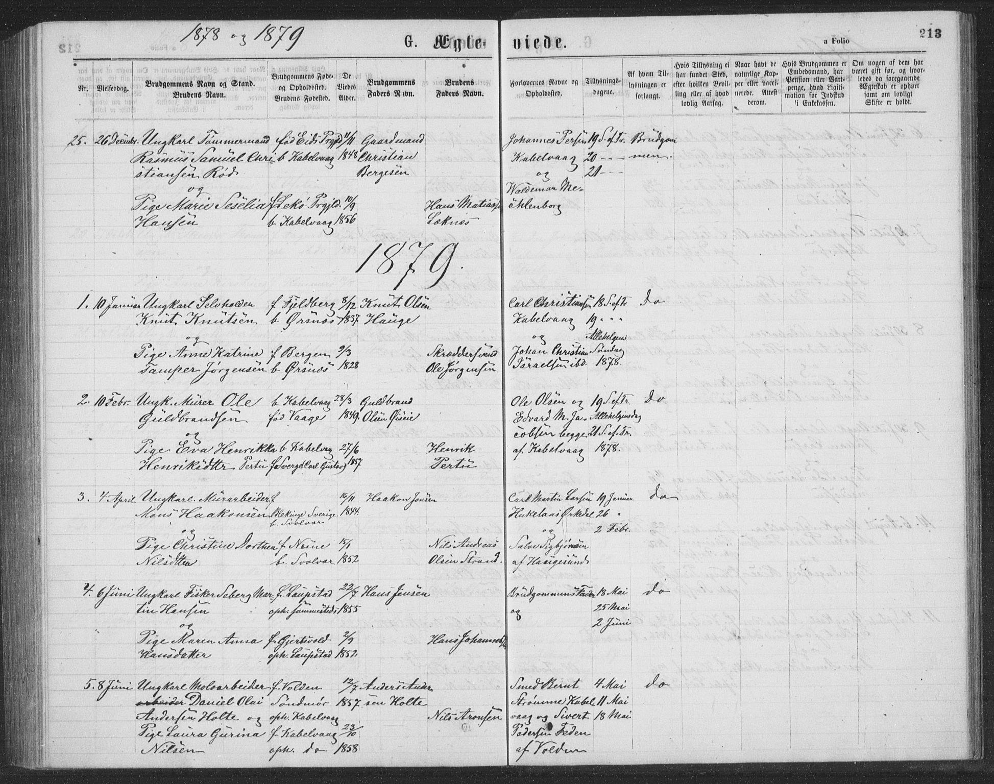 Ministerialprotokoller, klokkerbøker og fødselsregistre - Nordland, AV/SAT-A-1459/874/L1075: Parish register (copy) no. 874C04, 1876-1883, p. 213