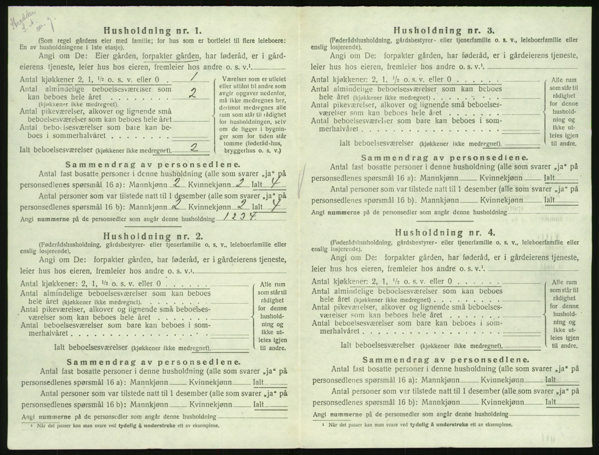 SAK, 1920 census for Hornnes, 1920, p. 398