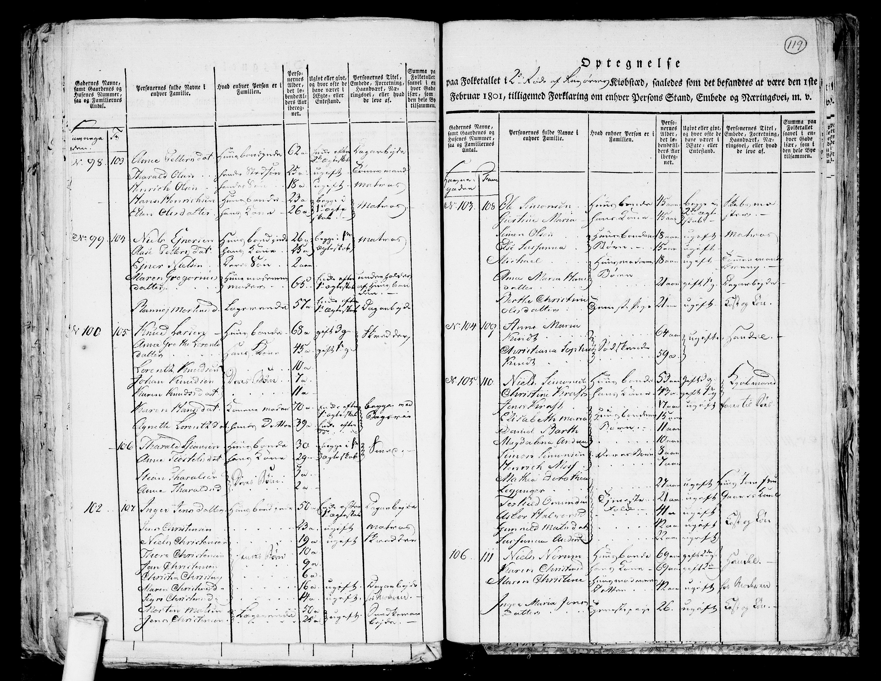 RA, 1801 census for 0901P Risør, 1801, p. 118b-119a