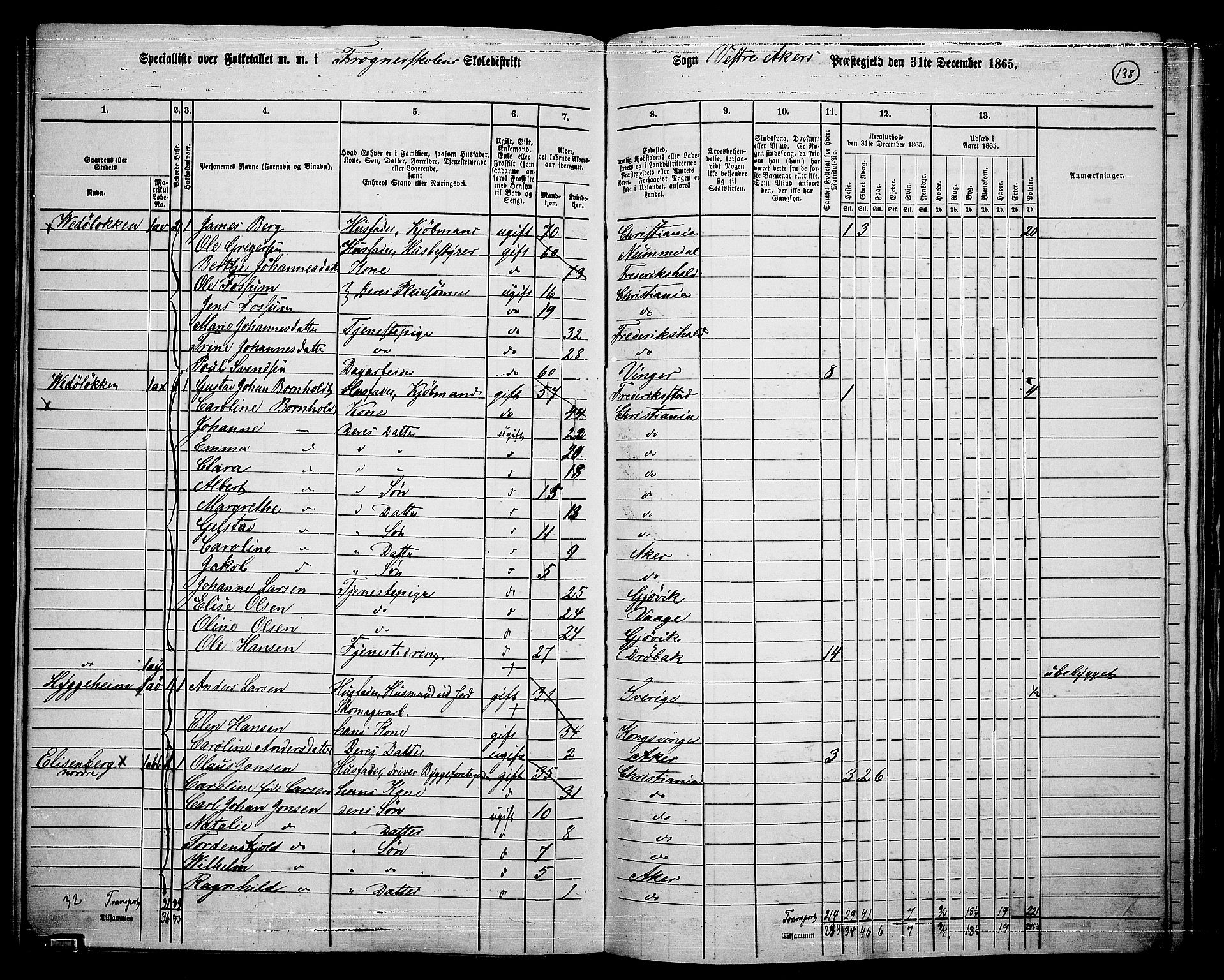 RA, 1865 census for Vestre Aker, 1865, p. 302