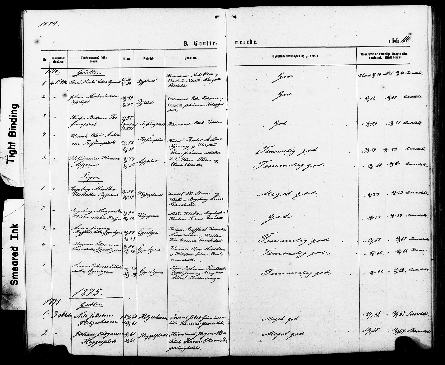 Ministerialprotokoller, klokkerbøker og fødselsregistre - Nord-Trøndelag, SAT/A-1458/740/L0380: Parish register (copy) no. 740C01, 1868-1902, p. 110