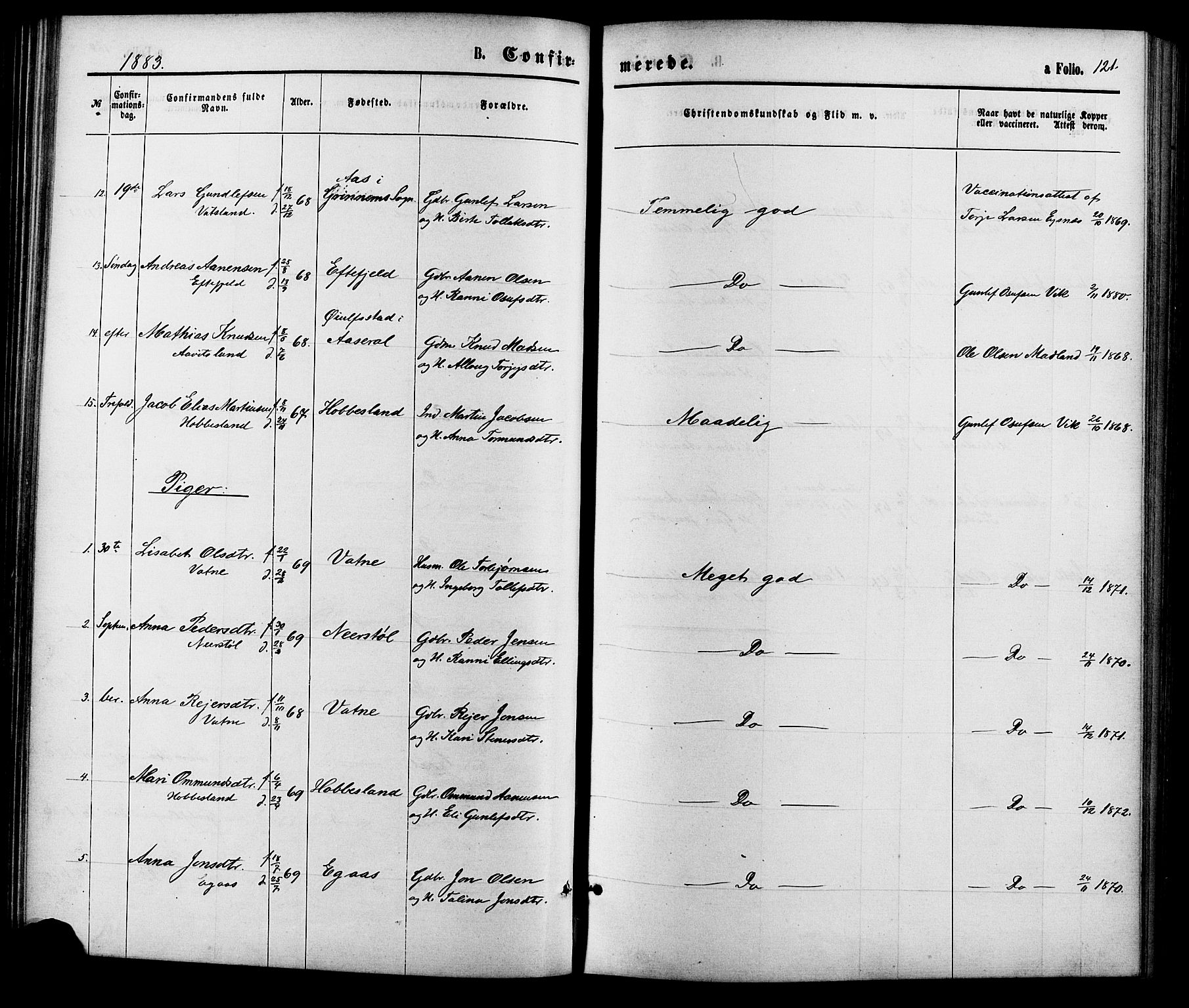 Hægebostad sokneprestkontor, SAK/1111-0024/F/Fa/Fab/L0003: Parish register (official) no. A 3, 1872-1886, p. 121