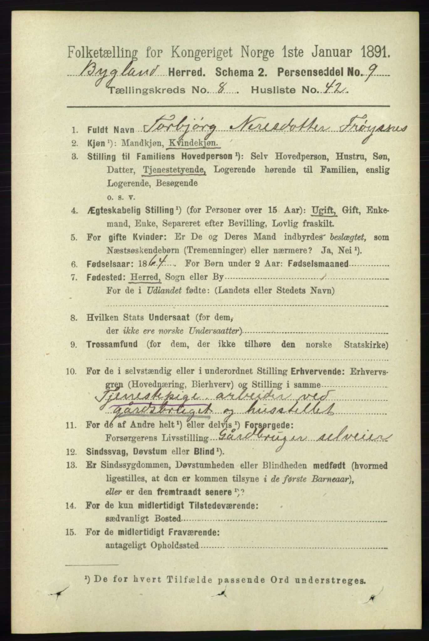 RA, 1891 census for 0938 Bygland, 1891, p. 2173