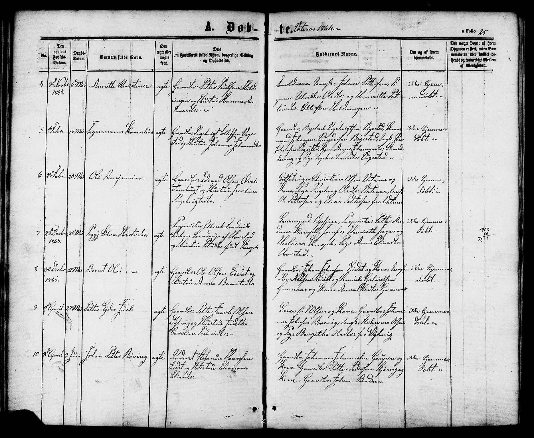 Ministerialprotokoller, klokkerbøker og fødselsregistre - Nordland, AV/SAT-A-1459/810/L0146: Parish register (official) no. 810A08 /1, 1862-1874, p. 25