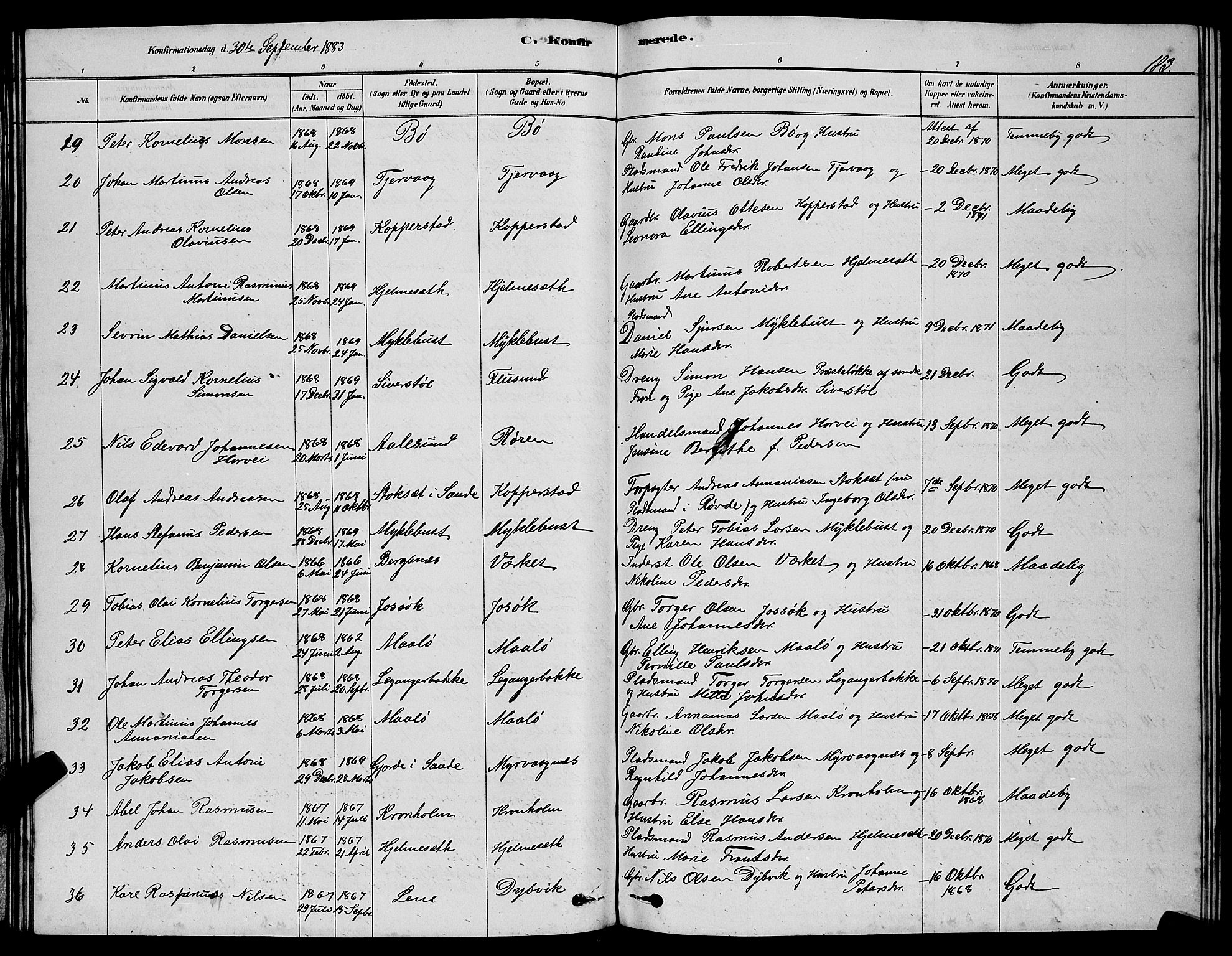 Ministerialprotokoller, klokkerbøker og fødselsregistre - Møre og Romsdal, SAT/A-1454/507/L0081: Parish register (copy) no. 507C04, 1878-1898, p. 183