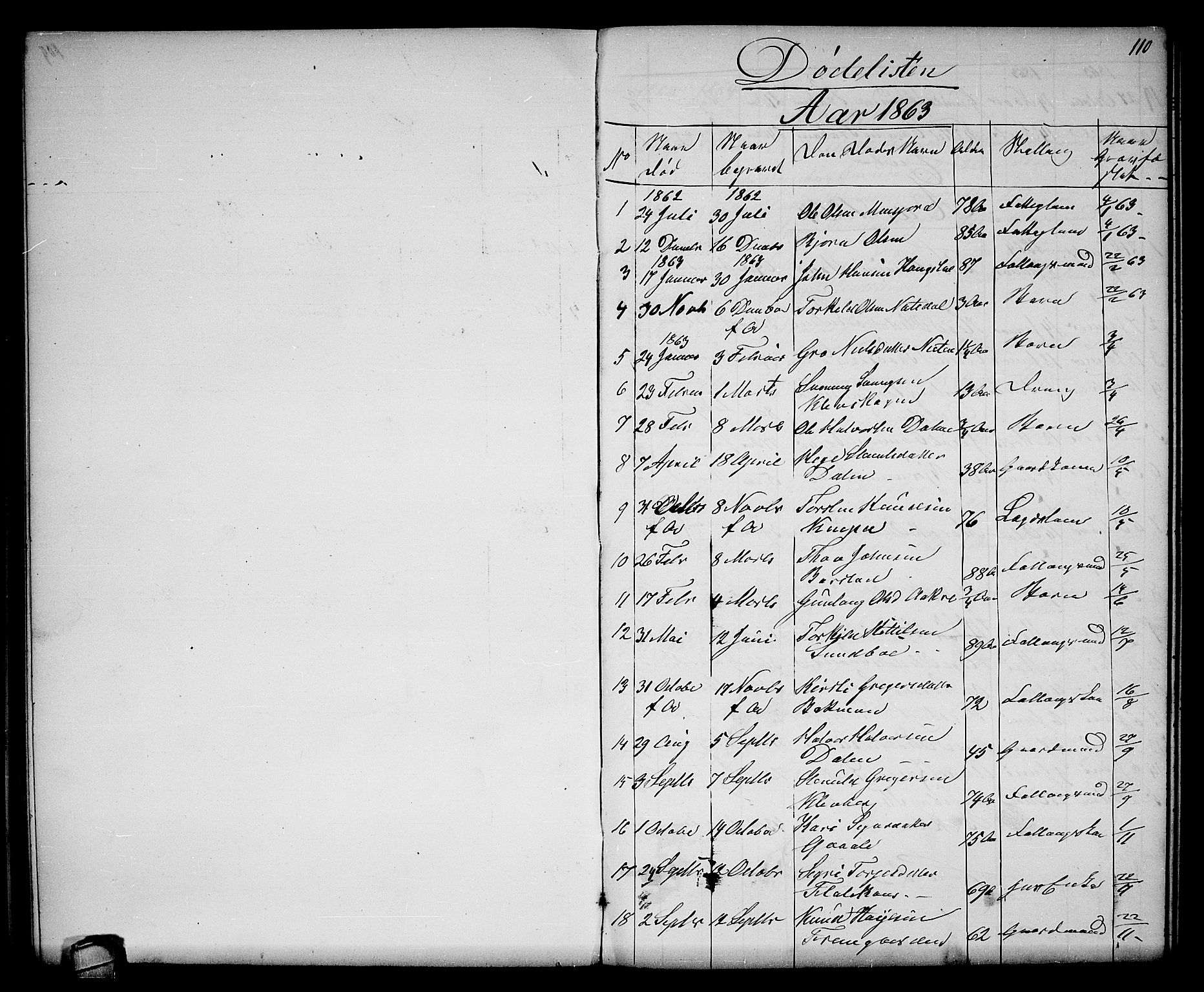 Seljord kirkebøker, SAKO/A-20/G/Gb/L0003: Parish register (copy) no. II 3, 1863-1884, p. 110