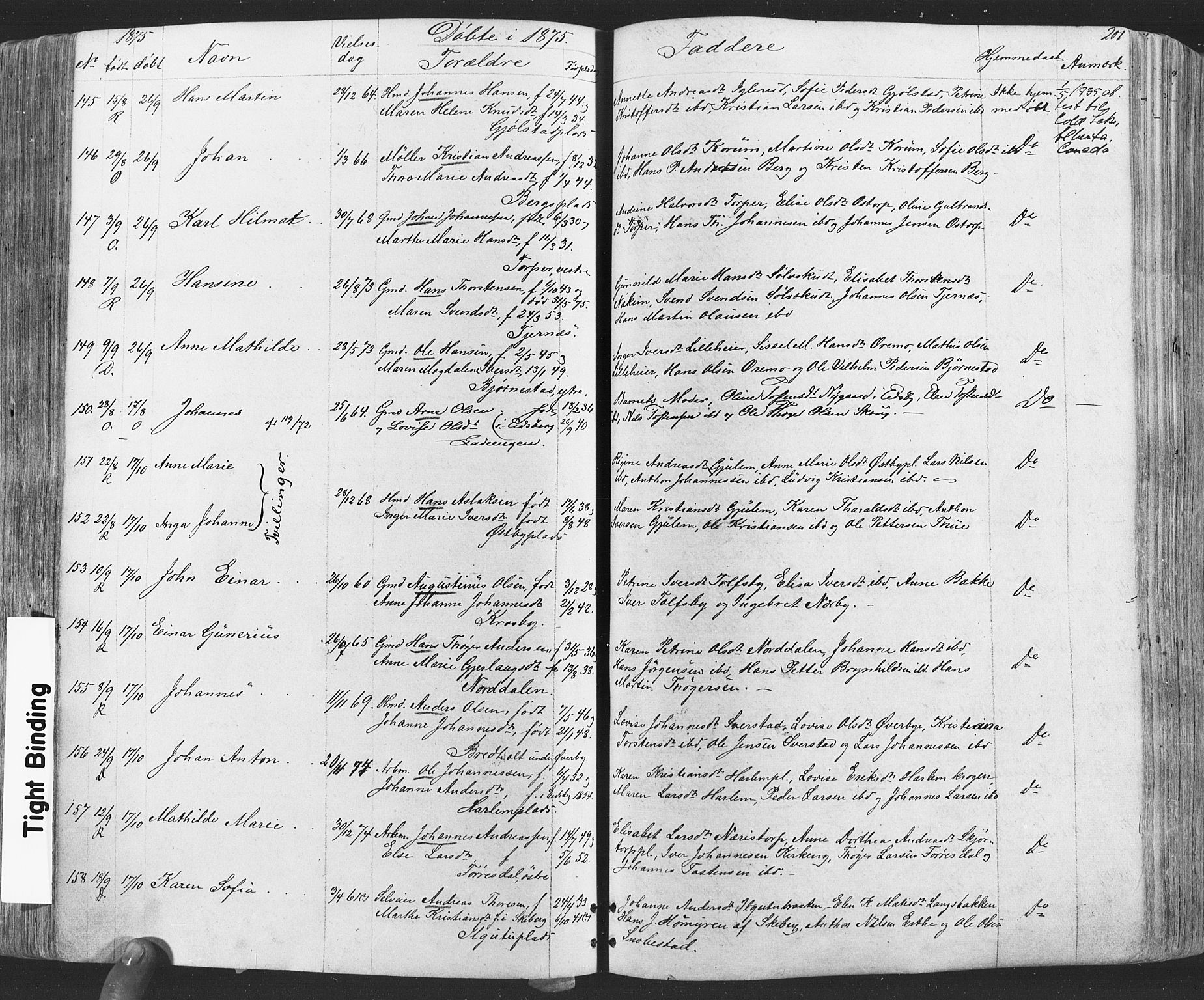 Rakkestad prestekontor Kirkebøker, AV/SAO-A-2008/F/Fa/L0011: Parish register (official) no. I 11, 1862-1877, p. 201