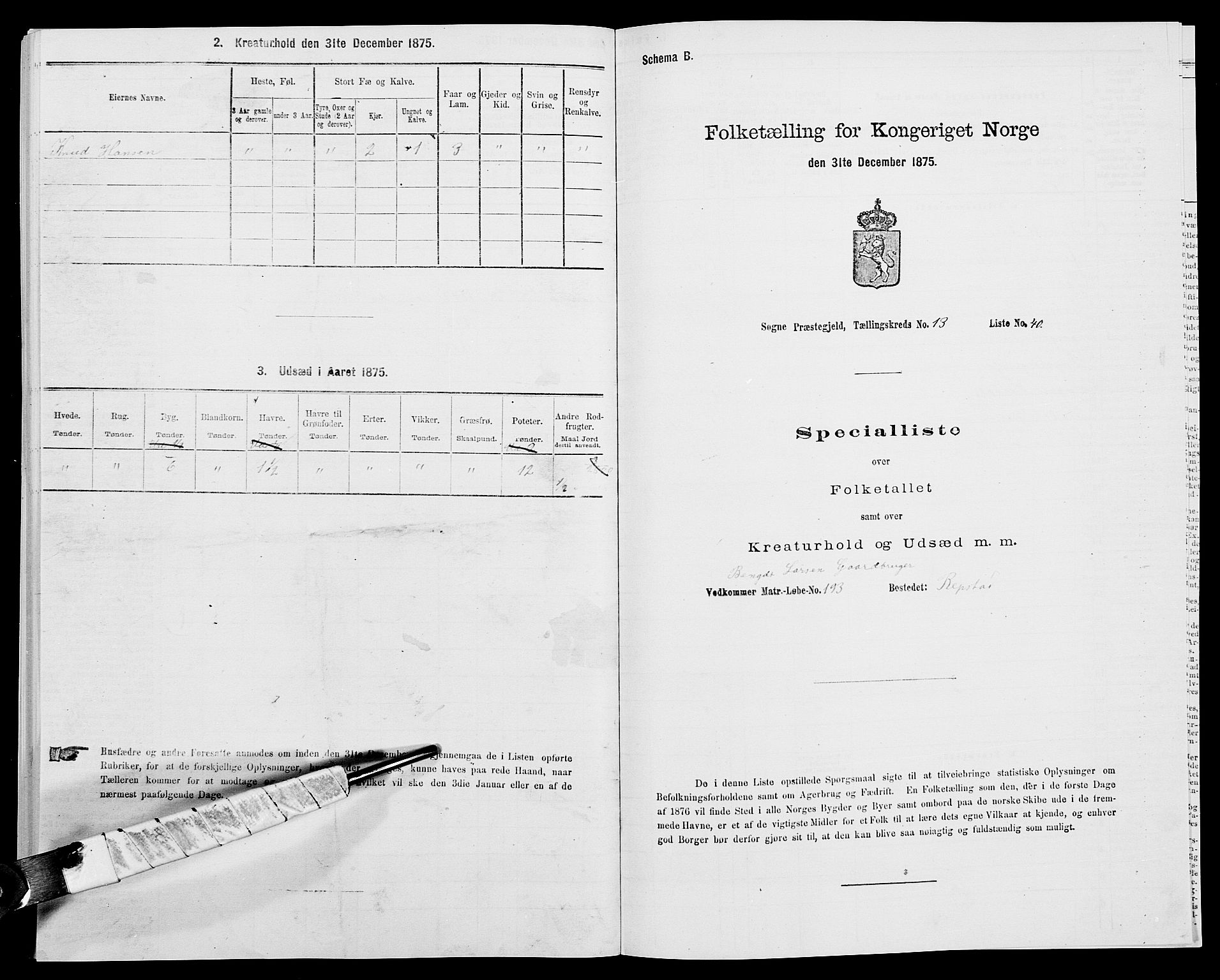 SAK, 1875 census for 1018P Søgne, 1875, p. 994