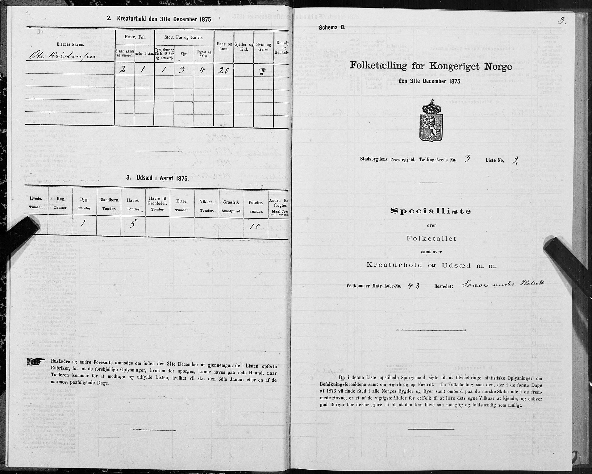 SAT, 1875 census for 1625P Stadsbygd, 1875, p. 2003