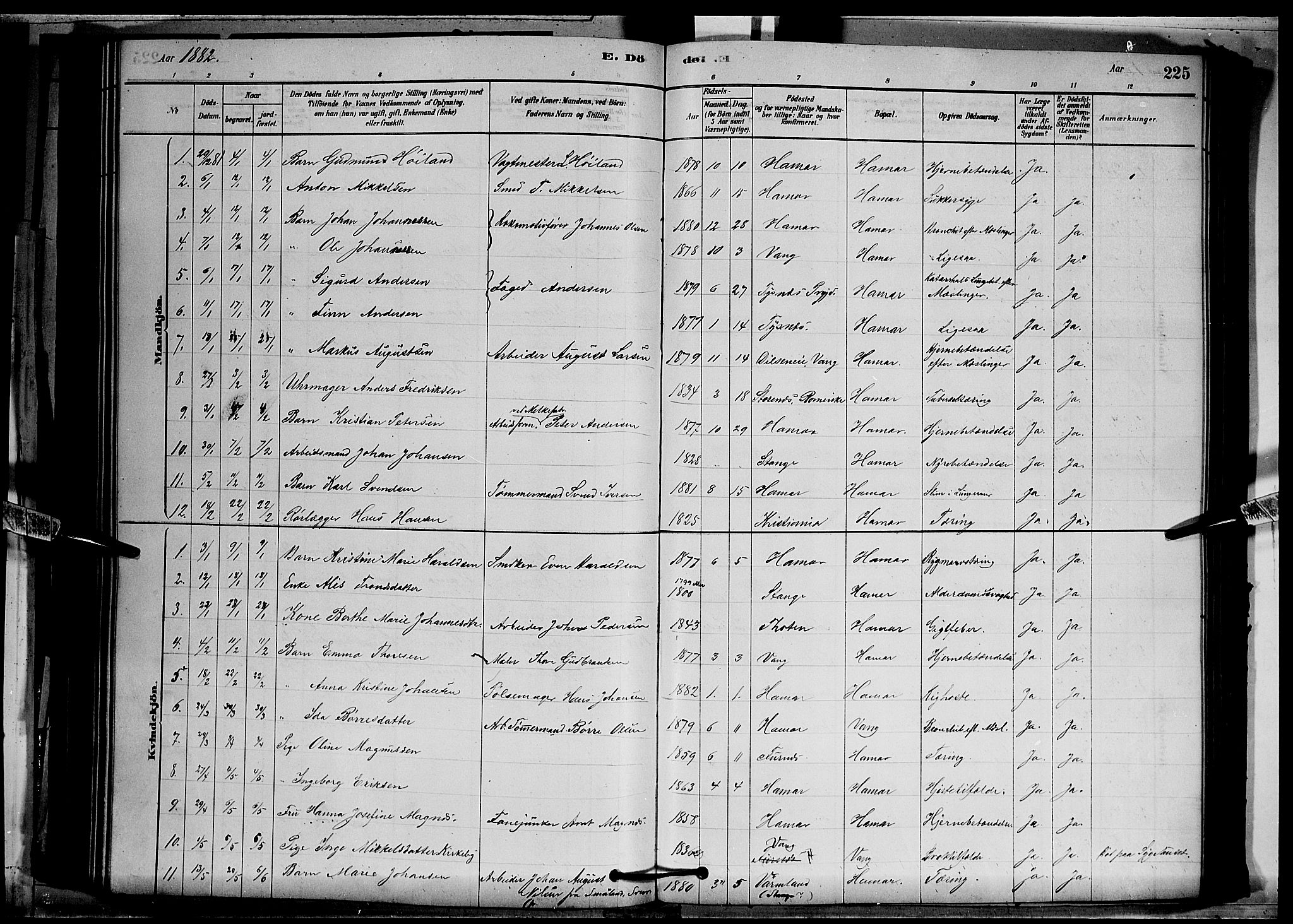 Vang prestekontor, Hedmark, SAH/PREST-008/H/Ha/Hab/L0012: Parish register (copy) no. 12, 1878-1889, p. 225