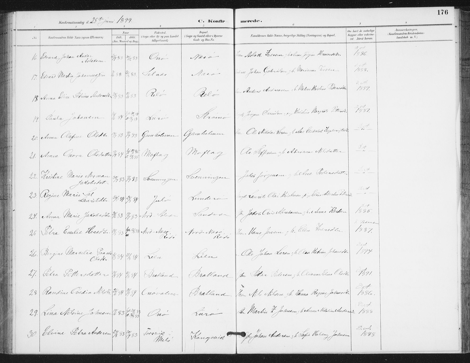 Ministerialprotokoller, klokkerbøker og fødselsregistre - Nordland, AV/SAT-A-1459/839/L0573: Parish register (copy) no. 839C03, 1892-1917, p. 176