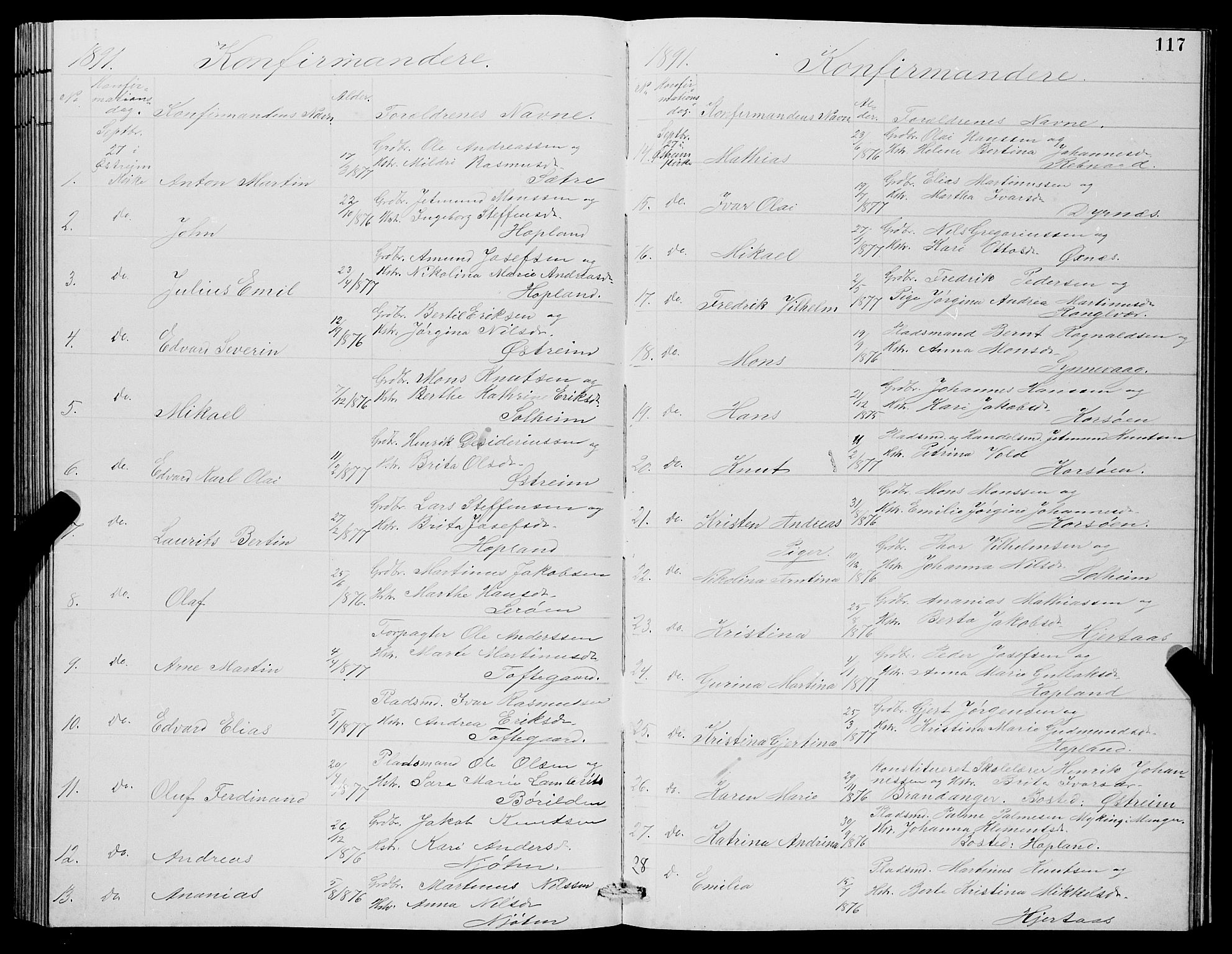 Lindås Sokneprestembete, SAB/A-76701/H/Hab: Parish register (copy) no. C 3, 1886-1893, p. 117