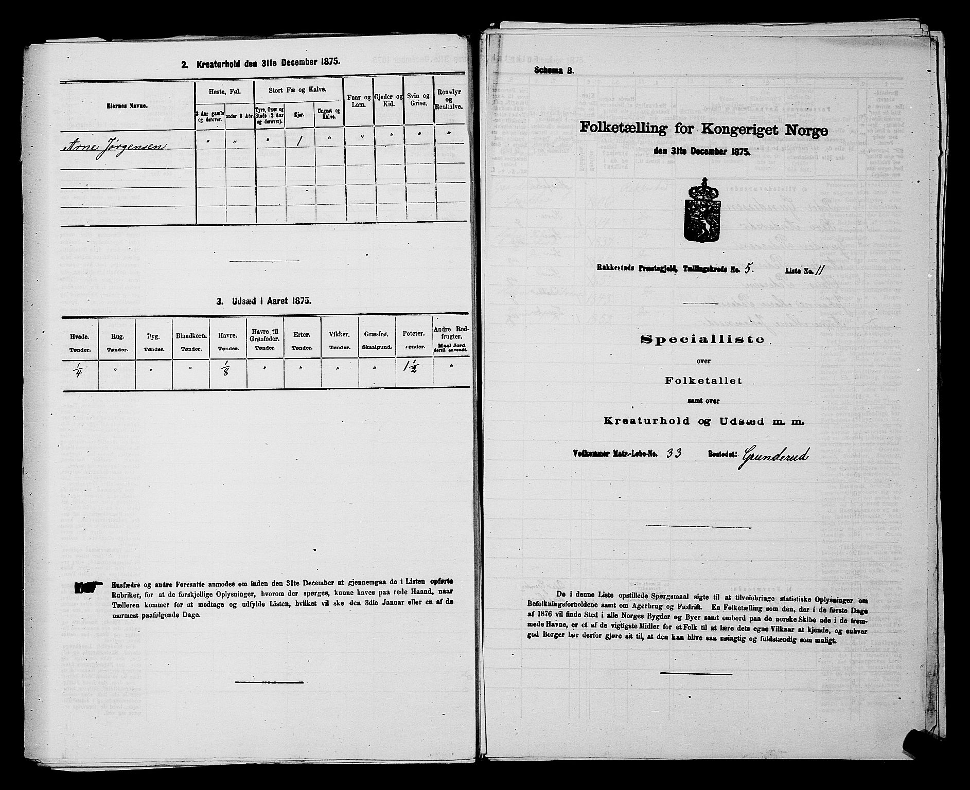 RA, 1875 census for 0128P Rakkestad, 1875, p. 617