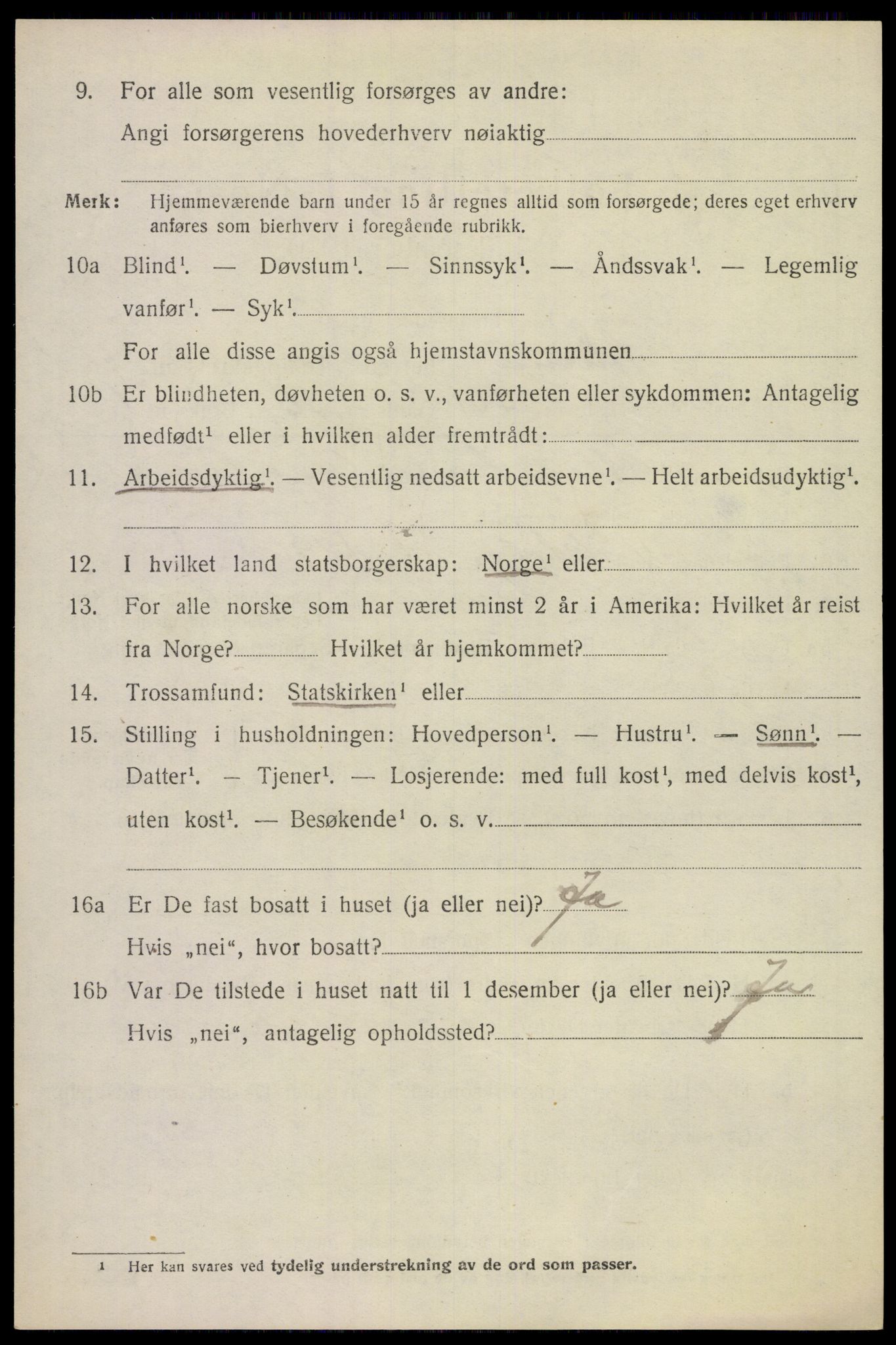 SAKO, 1920 census for Solum, 1920, p. 17511