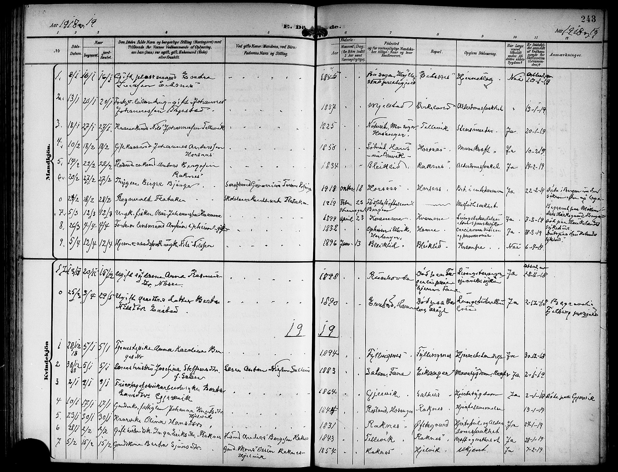 Hamre sokneprestembete, SAB/A-75501/H/Ha/Hab: Parish register (copy) no. B 4, 1898-1919, p. 243
