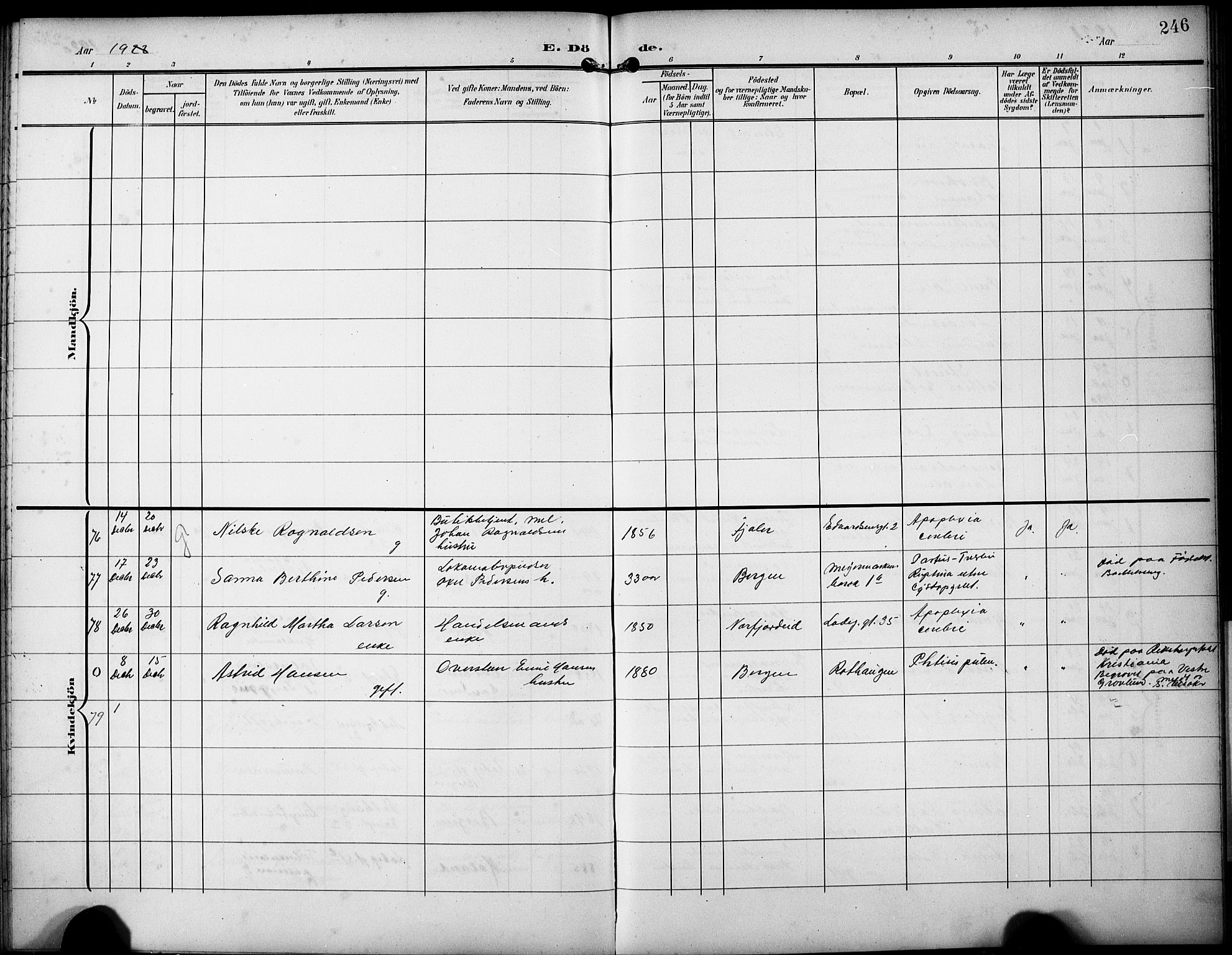 Sandviken Sokneprestembete, AV/SAB-A-77601/H/Hb/L0017: Parish register (copy) no. E 1, 1903-1926, p. 246