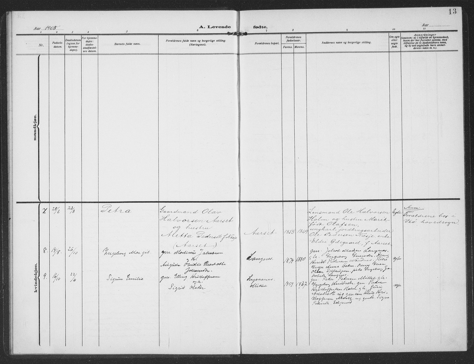 Ministerialprotokoller, klokkerbøker og fødselsregistre - Møre og Romsdal, AV/SAT-A-1454/549/L0615: Parish register (copy) no. 549C01, 1905-1932, p. 13