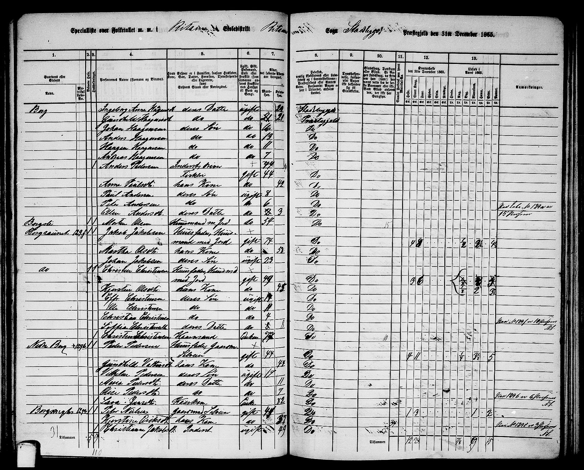 RA, 1865 census for Stadsbygd, 1865, p. 120