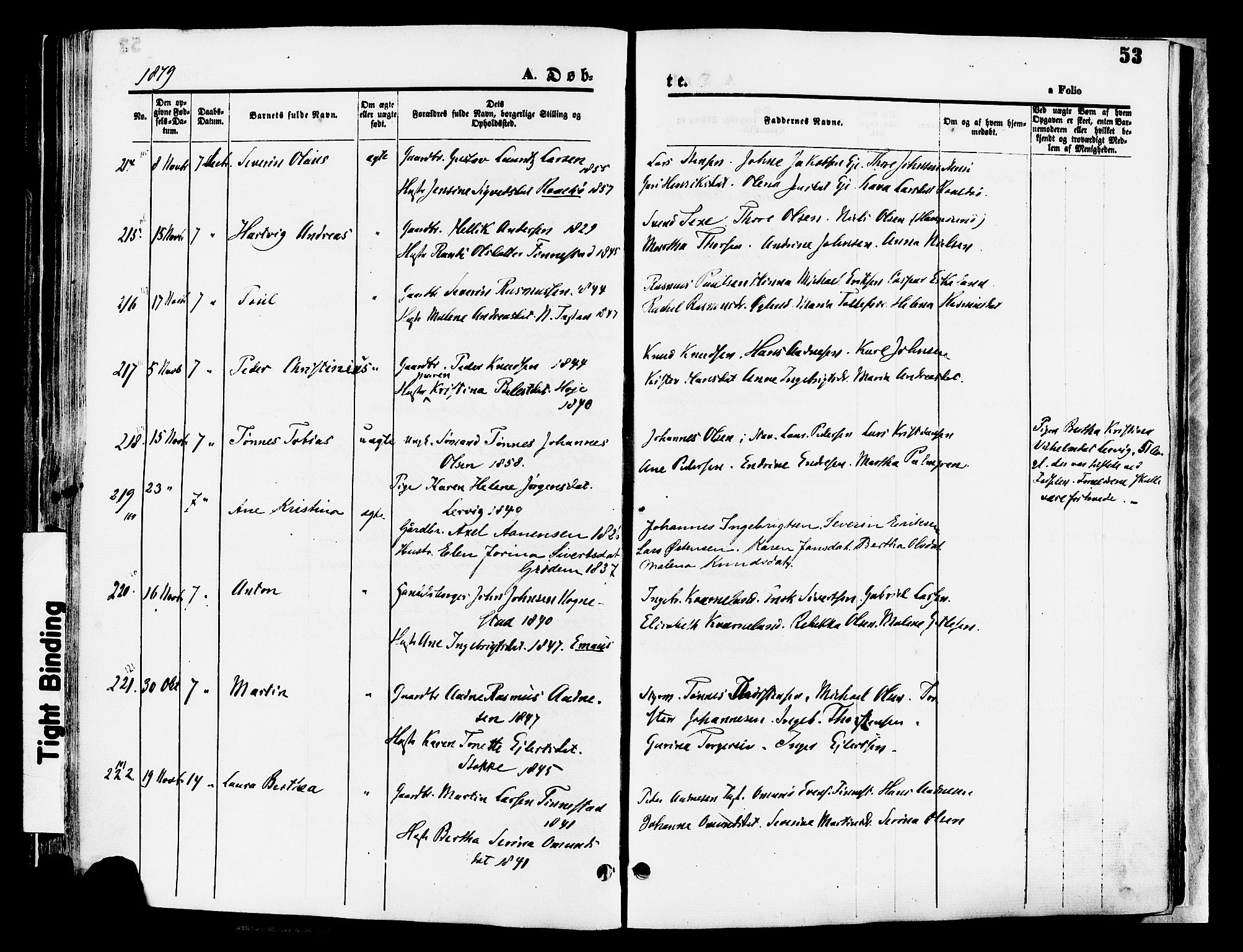 Hetland sokneprestkontor, AV/SAST-A-101826/30/30BA/L0008: Parish register (official) no. A 8, 1877-1884, p. 53