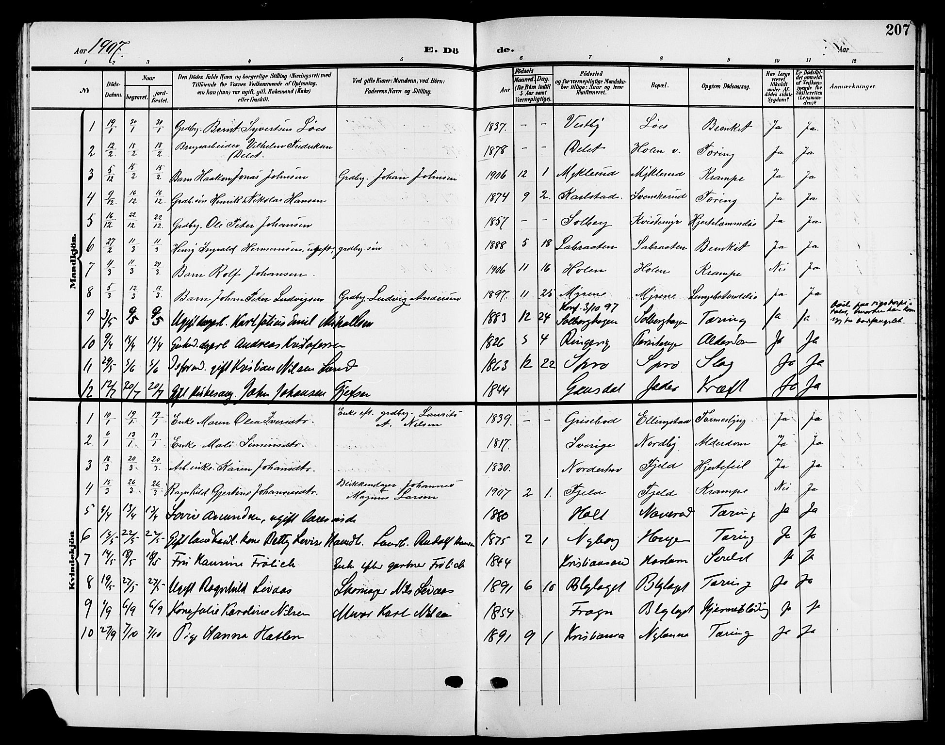 Nesodden prestekontor Kirkebøker, SAO/A-10013/G/Ga/L0002: Parish register (copy) no. I 2, 1905-1924, p. 207