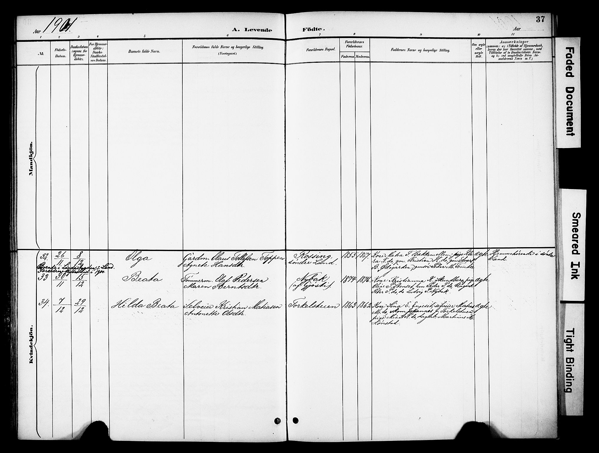 Biri prestekontor, AV/SAH-PREST-096/H/Ha/Haa/L0008: Parish register (official) no. 8, 1894-1901, p. 37