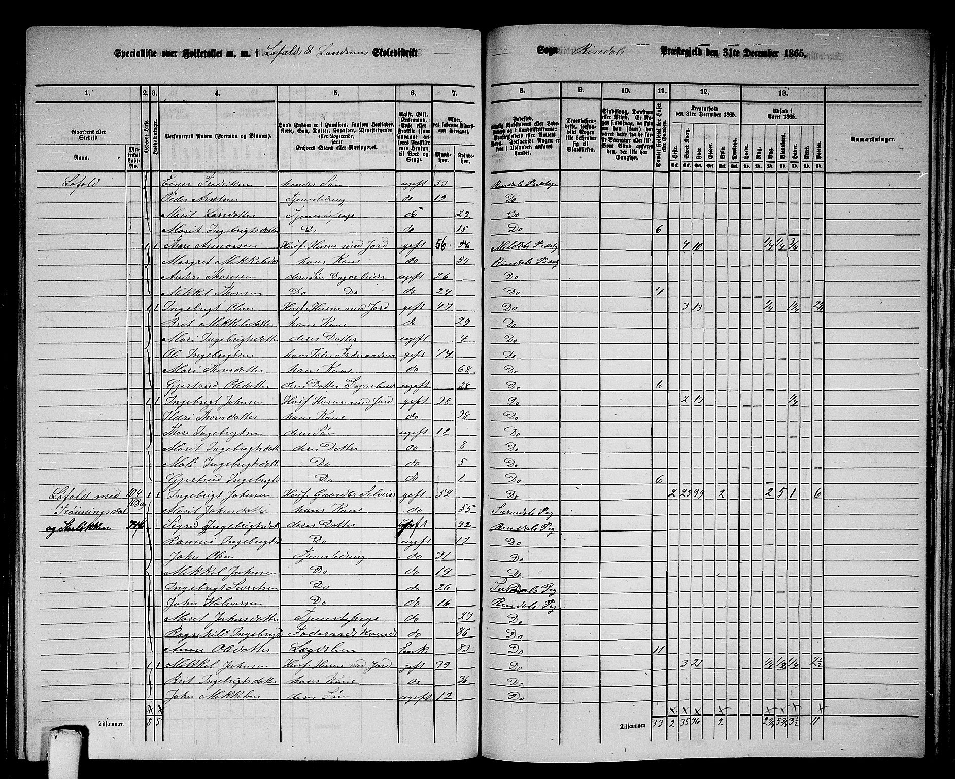 RA, 1865 census for Rindal, 1865, p. 55