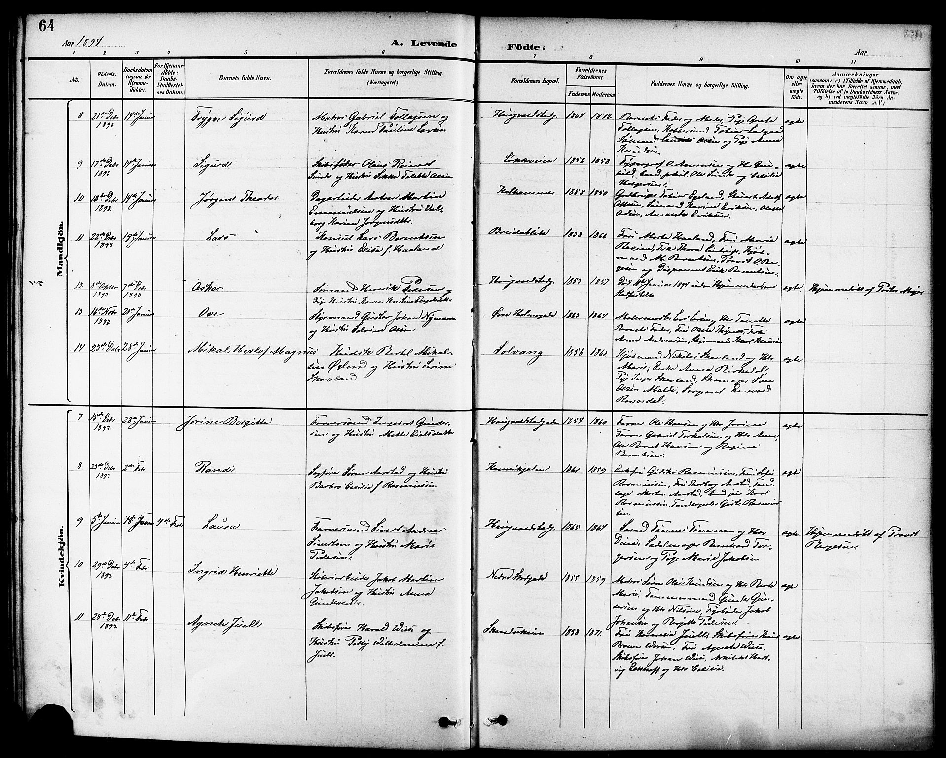 Domkirken sokneprestkontor, AV/SAST-A-101812/001/30/30BB/L0016: Parish register (copy) no. B 16, 1891-1902, p. 64