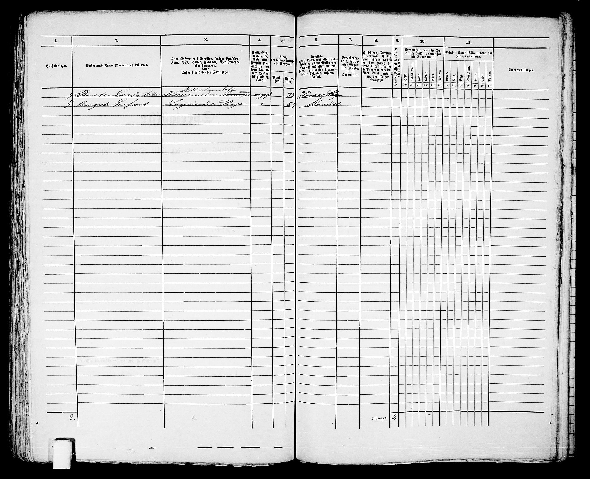 RA, 1865 census for Kristiansand, 1865, p. 462