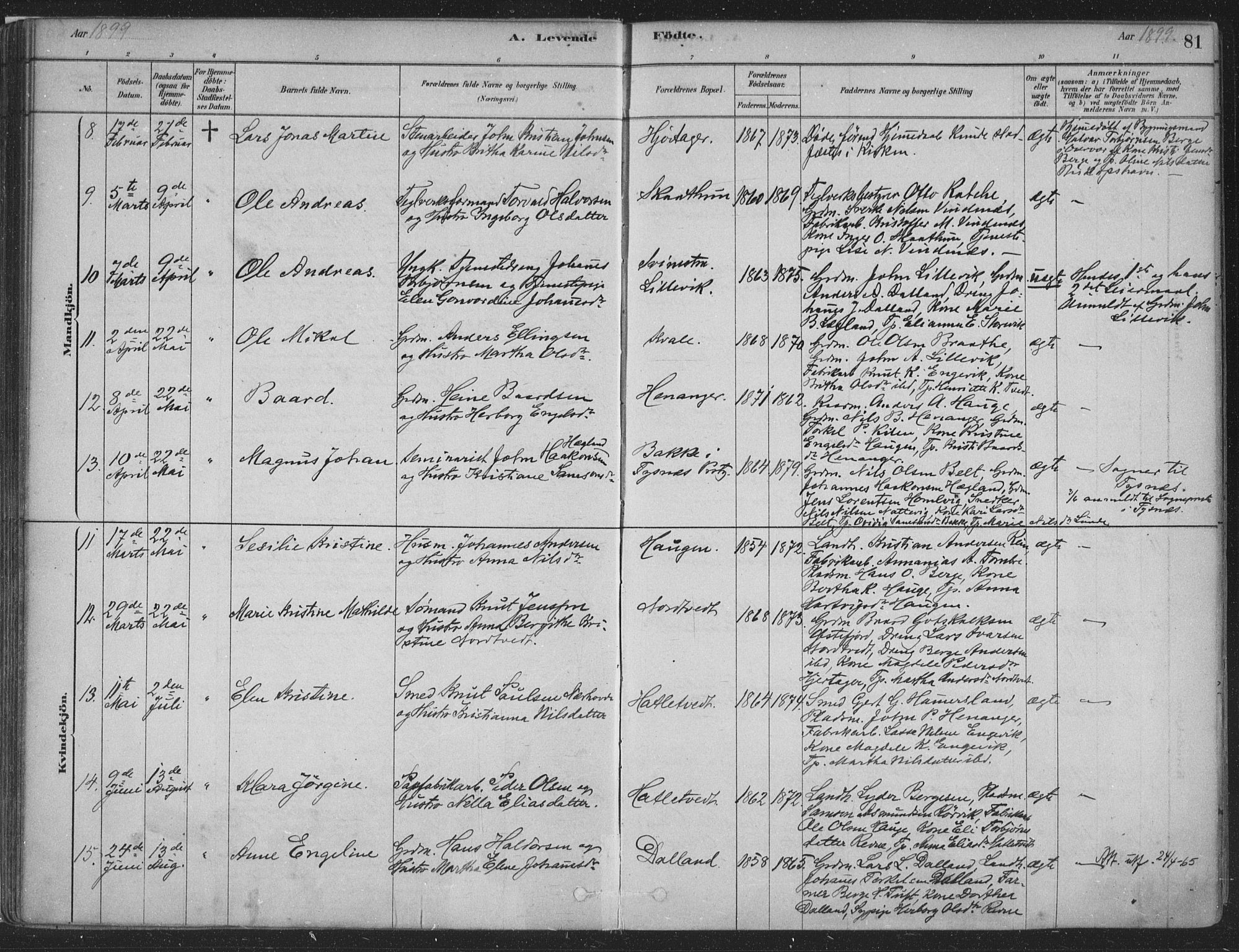 Fusa sokneprestembete, AV/SAB-A-75401/H/Haa: Parish register (official) no. D 1, 1880-1938, p. 81