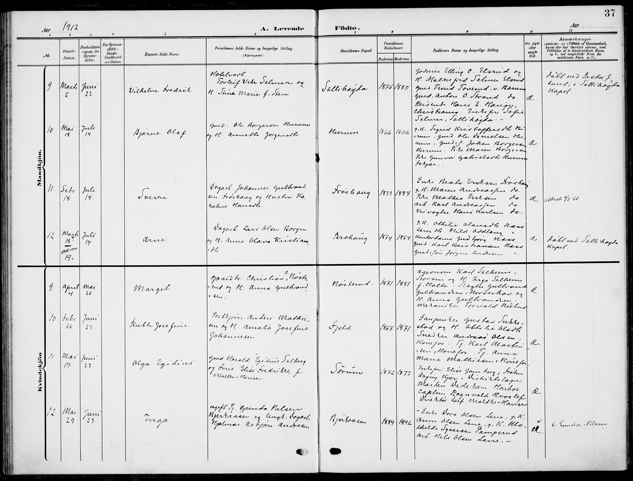 Hole kirkebøker, AV/SAKO-A-228/F/Fa/L0010: Parish register (official) no. I 10, 1907-1917, p. 37