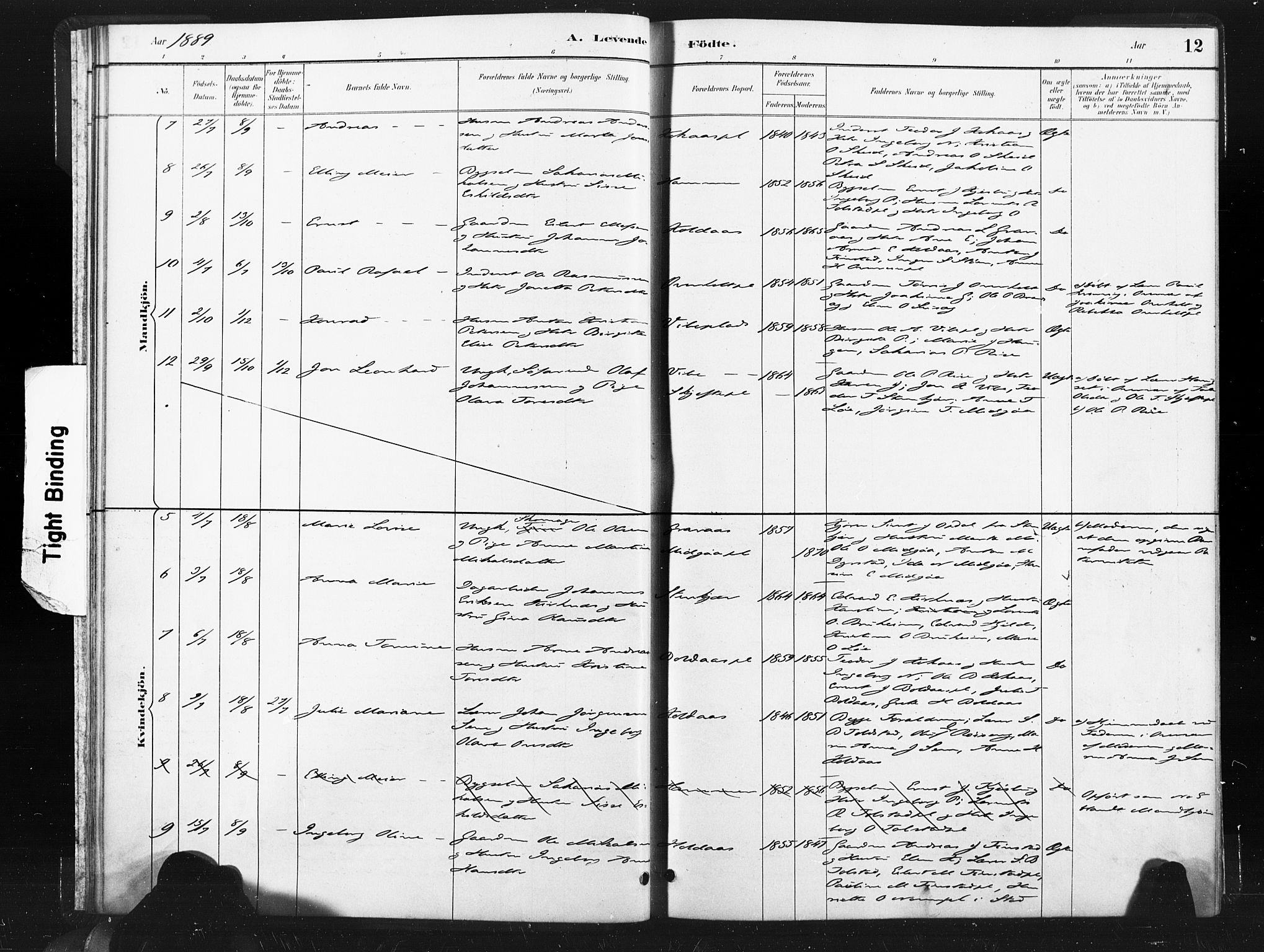 Ministerialprotokoller, klokkerbøker og fødselsregistre - Nord-Trøndelag, SAT/A-1458/736/L0361: Parish register (official) no. 736A01, 1884-1906, p. 12