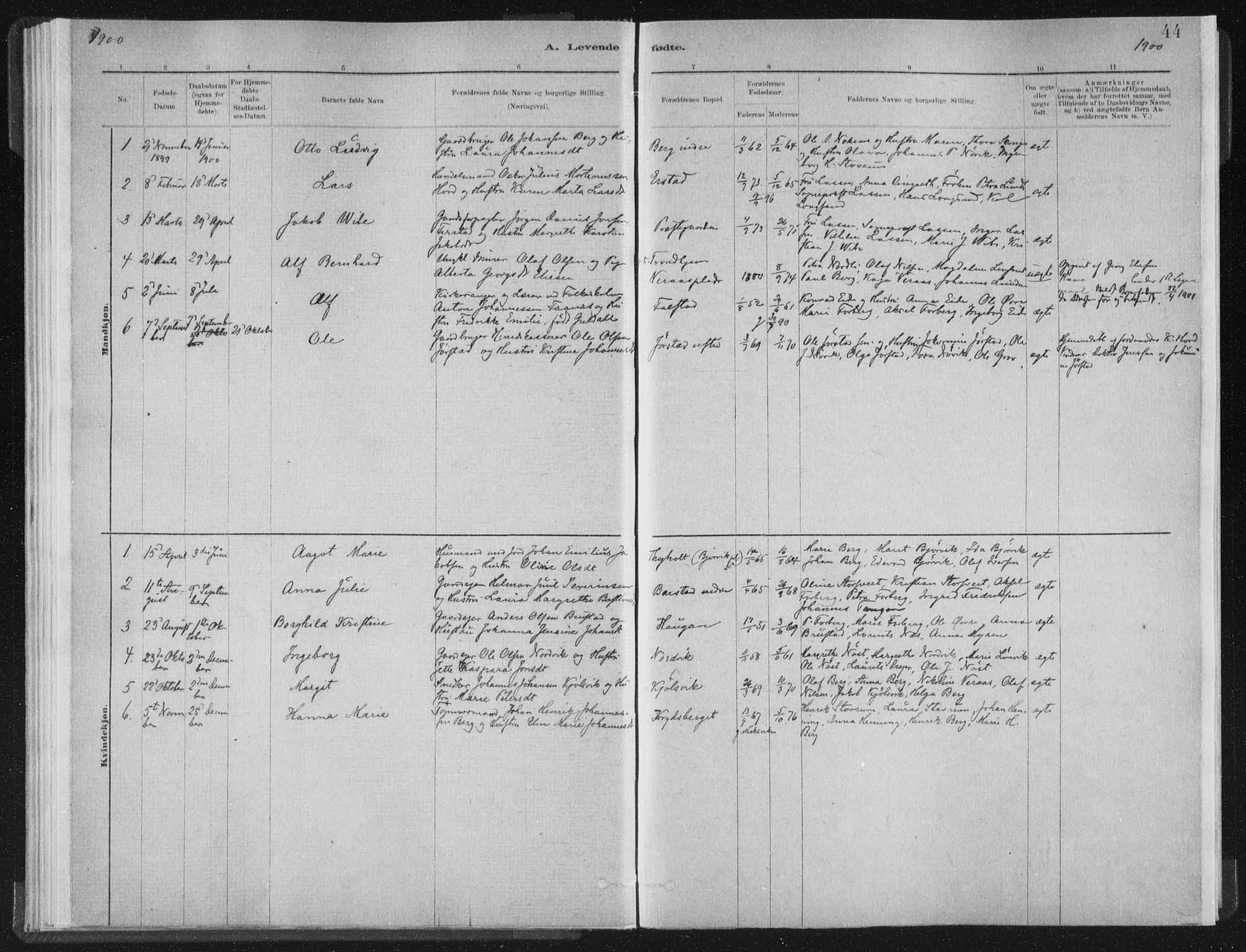 Ministerialprotokoller, klokkerbøker og fødselsregistre - Nord-Trøndelag, AV/SAT-A-1458/722/L0220: Parish register (official) no. 722A07, 1881-1908, p. 44