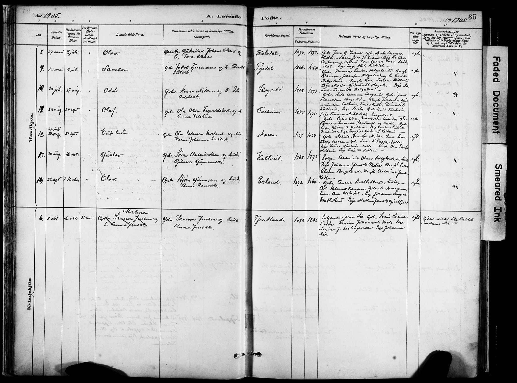 Hjelmeland sokneprestkontor, AV/SAST-A-101843/02/A/L0001: Parish register (official) no. A 16, 1887-1926, p. 35