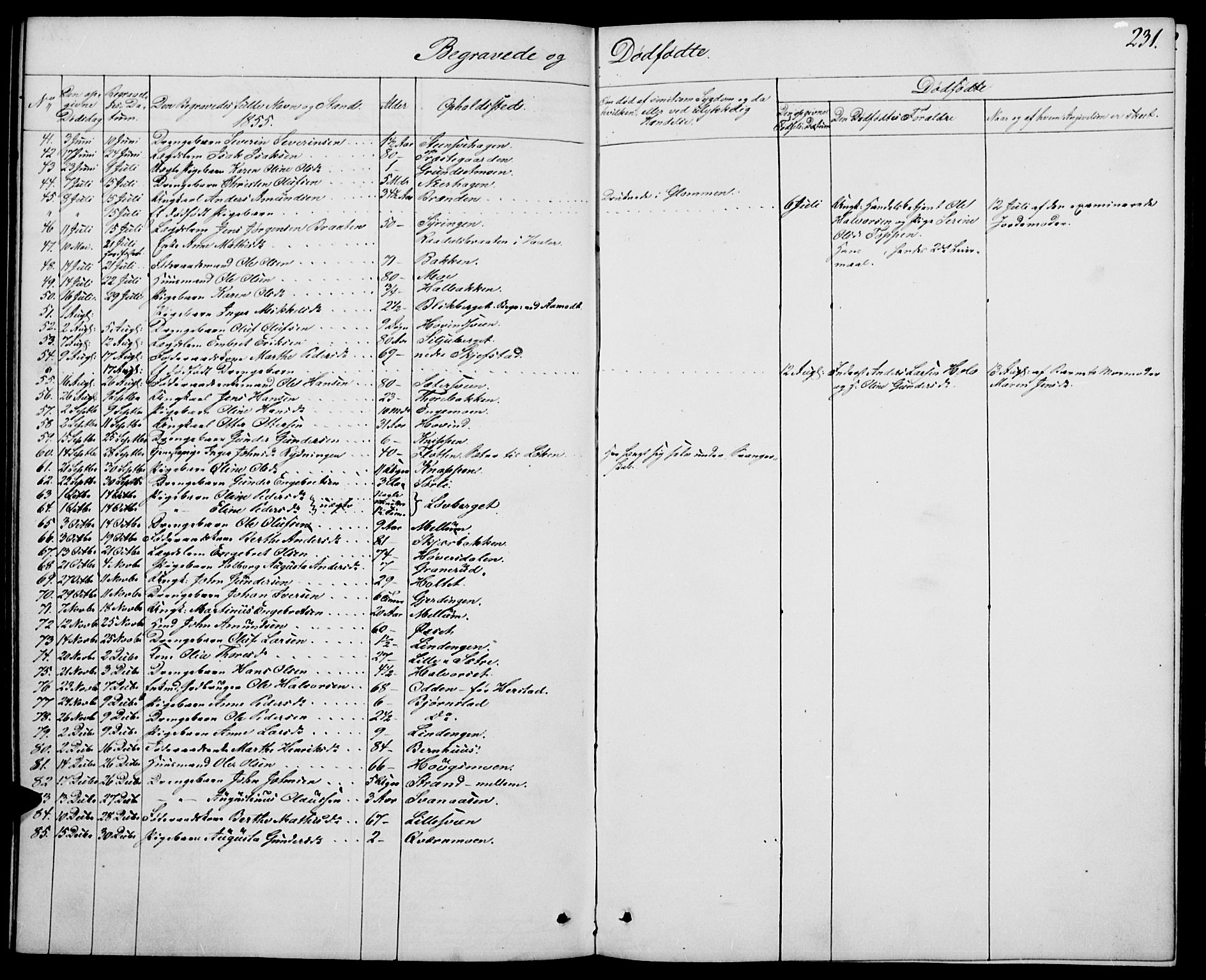 Elverum prestekontor, AV/SAH-PREST-044/H/Ha/Hab/L0002: Parish register (copy) no. 2, 1845-1855, p. 231