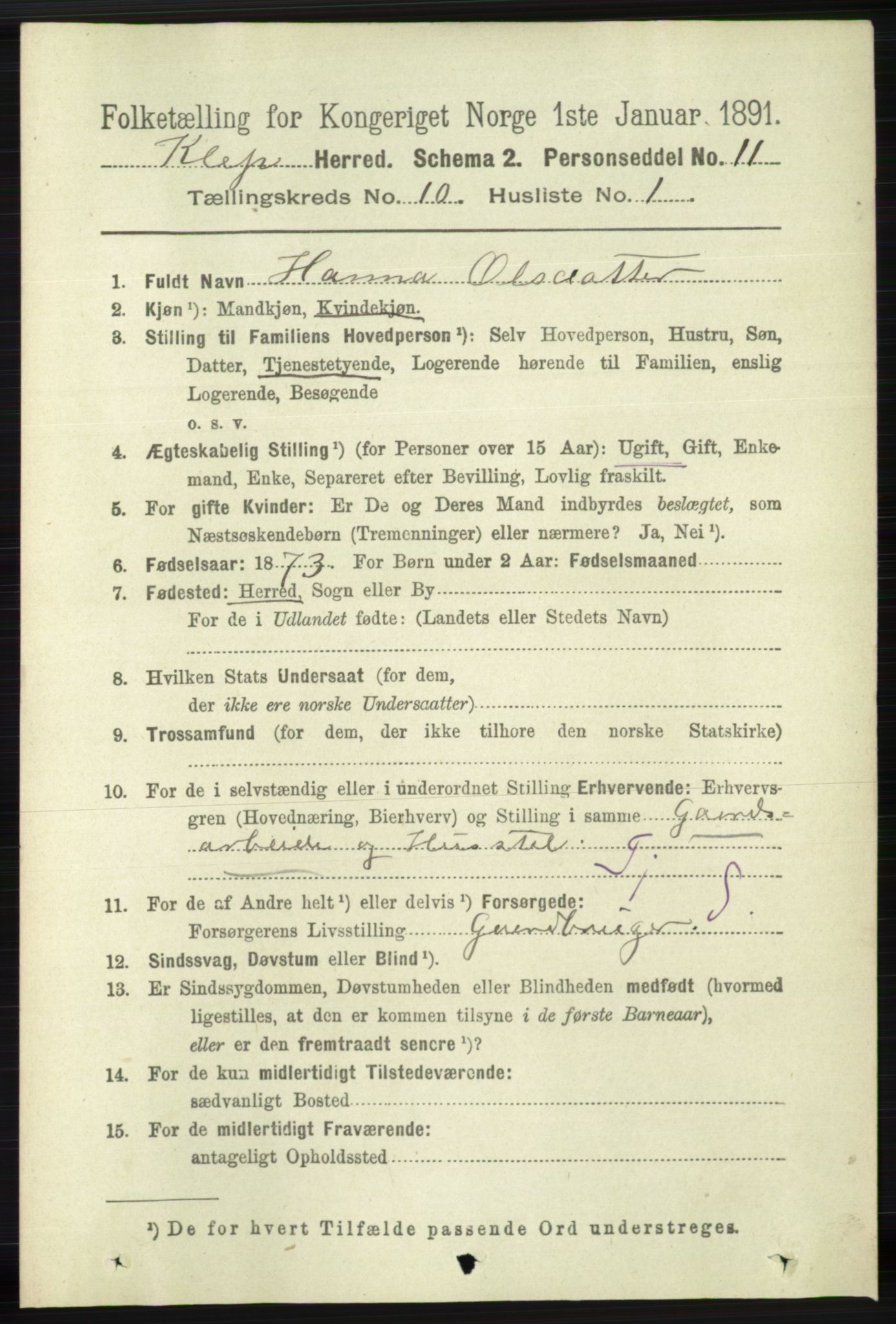 RA, 1891 census for 1120 Klepp, 1891, p. 2862