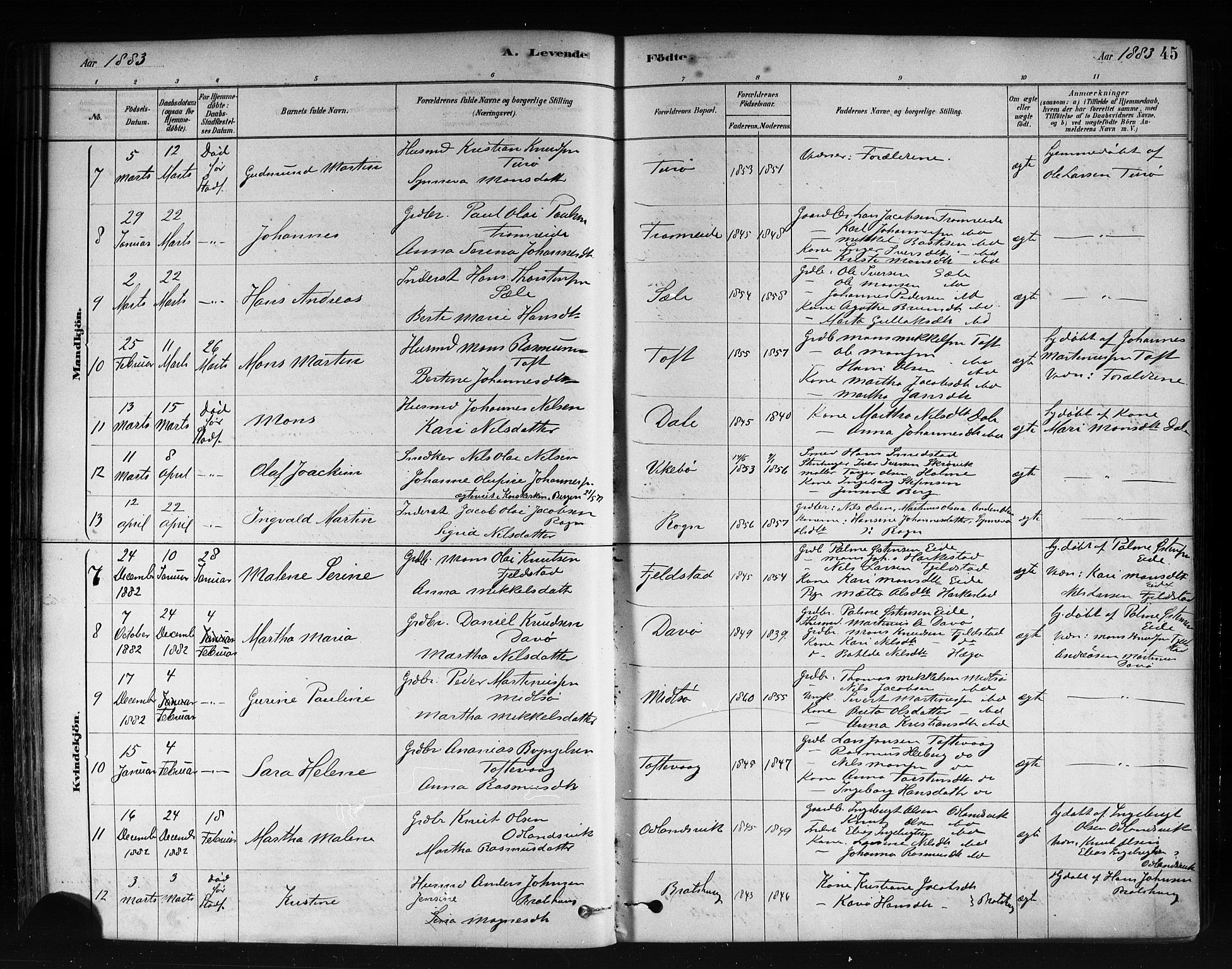 Herdla Sokneprestembete, AV/SAB-A-75701/H/Haa: Parish register (official) no. A 3, 1878-1890, p. 45