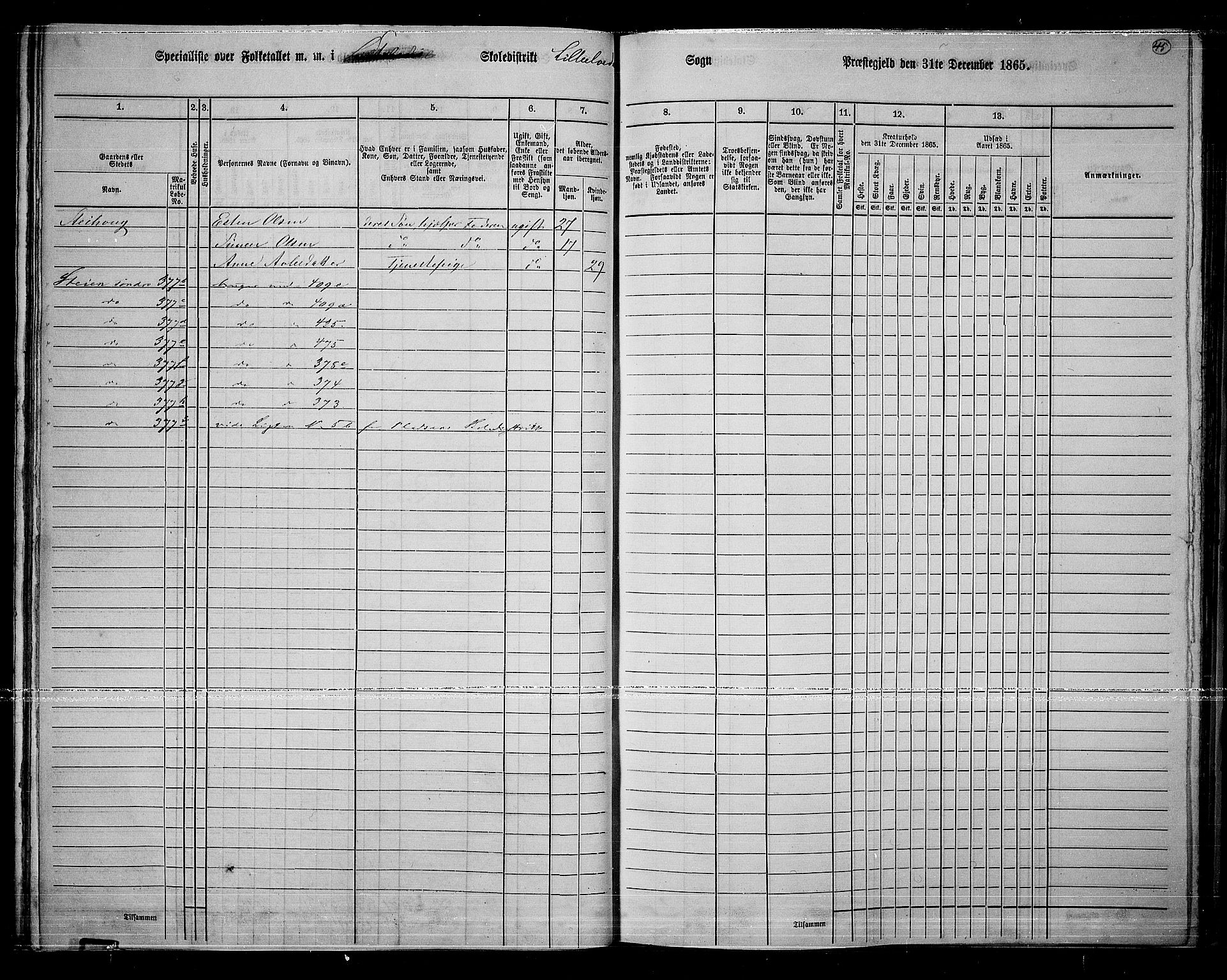 RA, 1865 census for Lille Elvedalen, 1865, p. 41