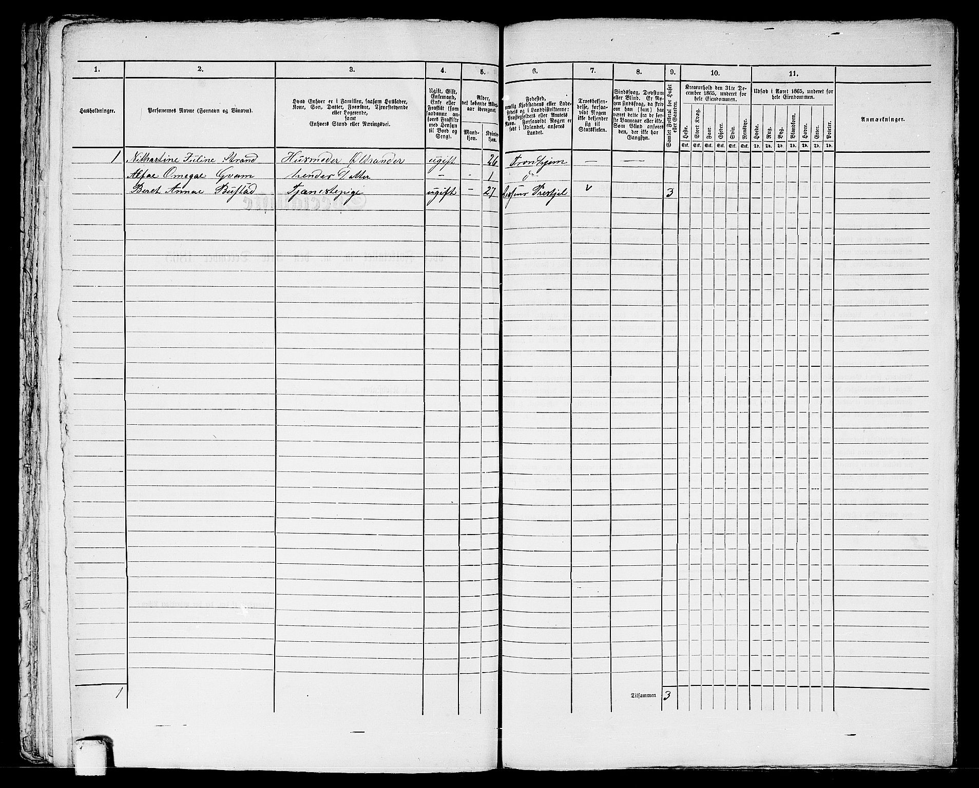 RA, 1865 census for Trondheim, 1865, p. 2030