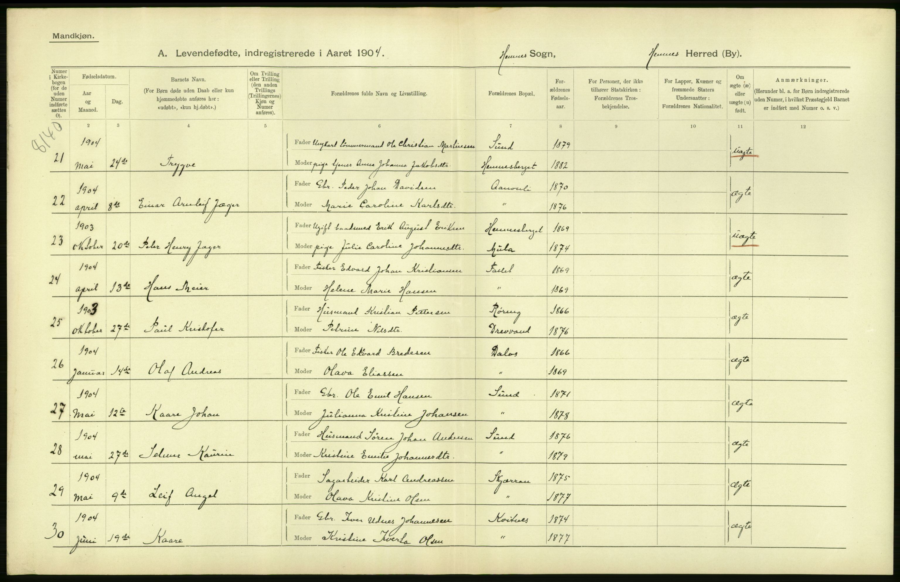 Statistisk sentralbyrå, Sosiodemografiske emner, Befolkning, AV/RA-S-2228/D/Df/Dfa/Dfab/L0020: Nordlands amt: Fødte. Bygder, 1904, p. 26