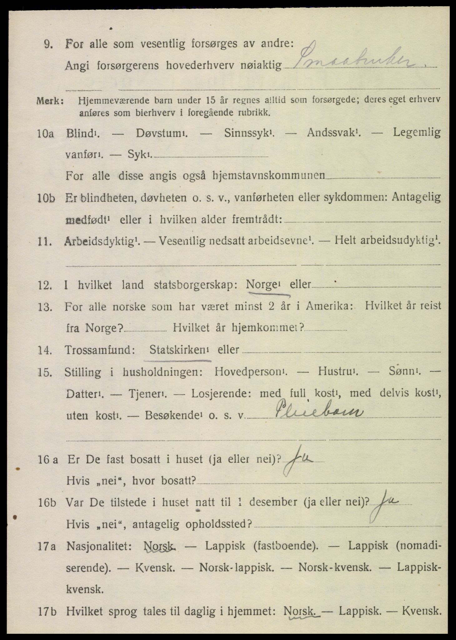 SAT, 1920 census for Sparbu, 1920, p. 4828