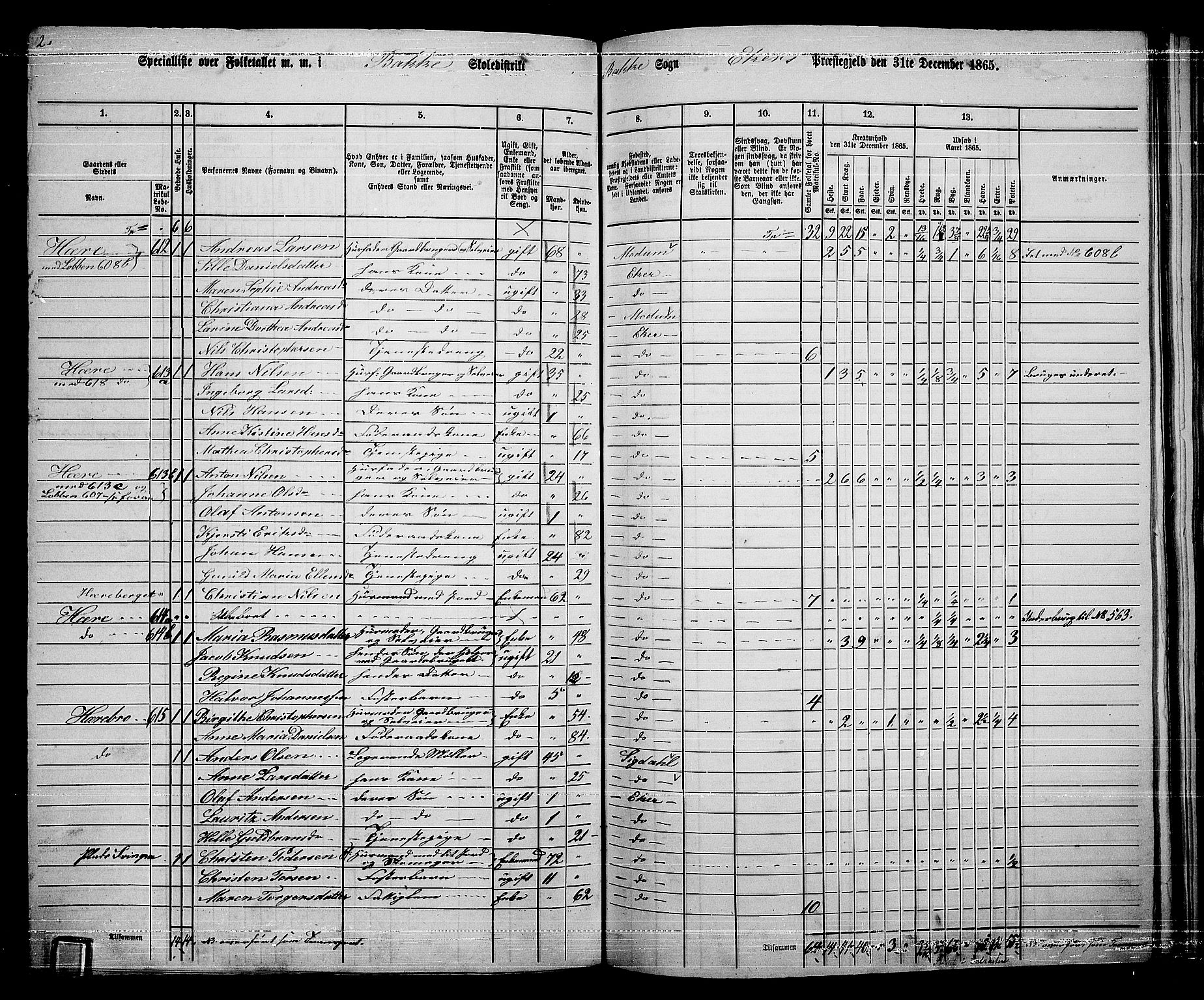 RA, 1865 census for Eiker, 1865, p. 437