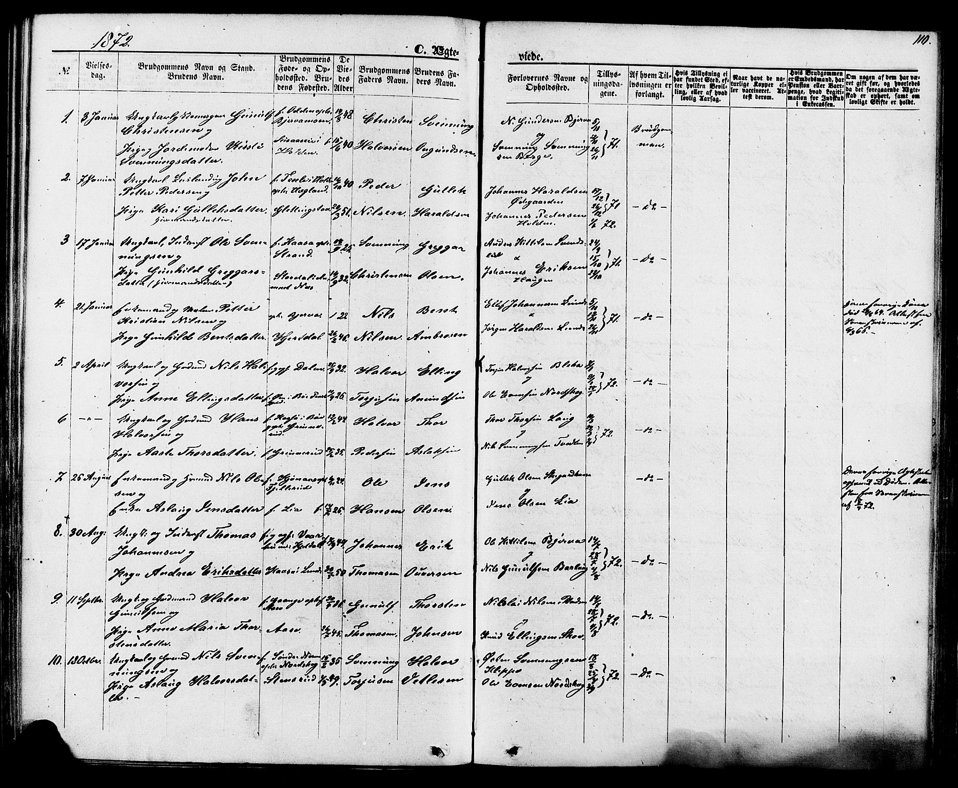 Lunde kirkebøker, SAKO/A-282/F/Fa/L0001: Parish register (official) no. I 1, 1866-1883, p. 110